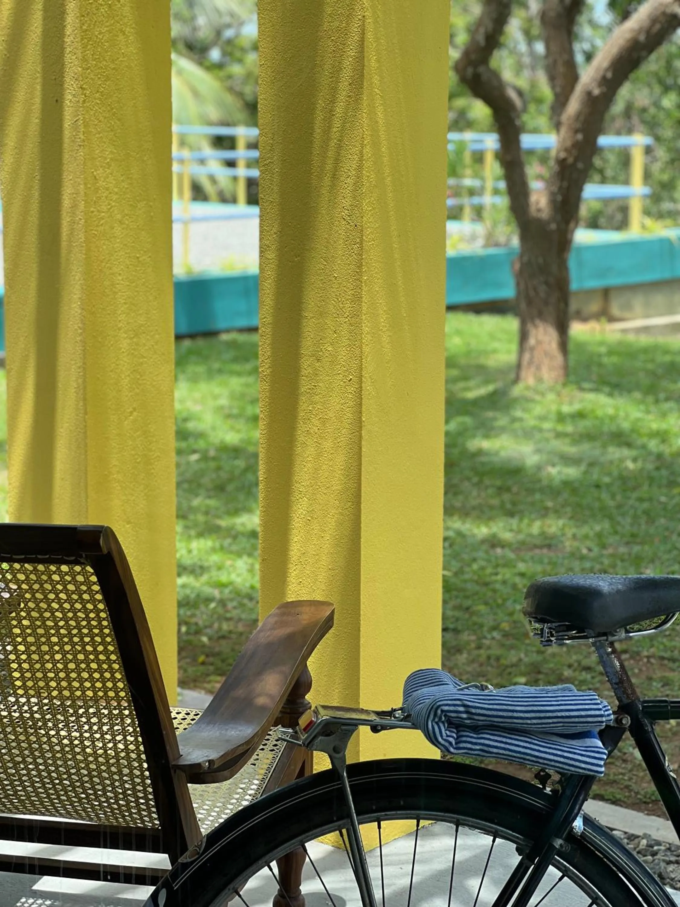 Garden in Buckingham Place