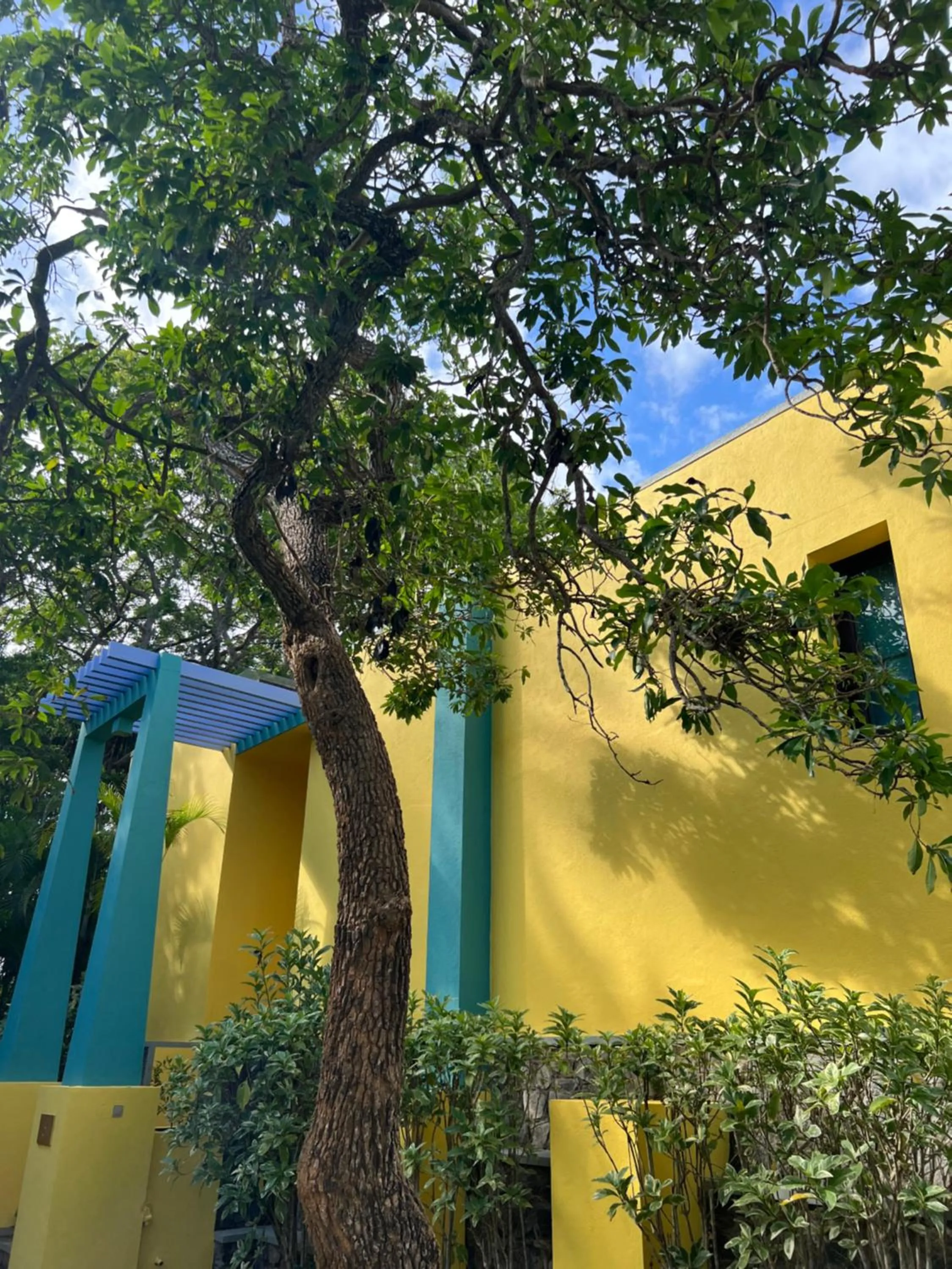 Property building in Buckingham Place