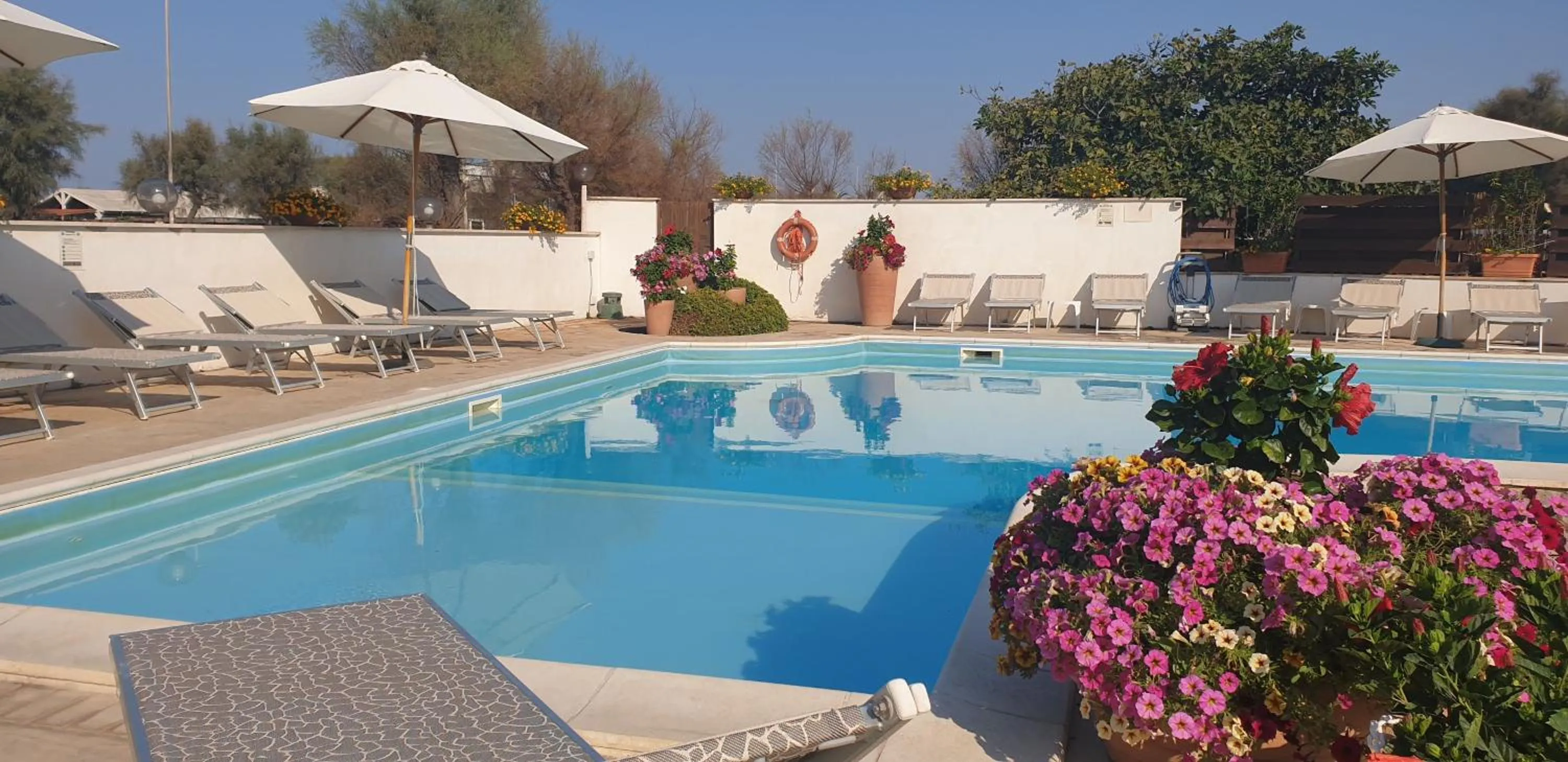 Swimming pool in Hotel Corallo