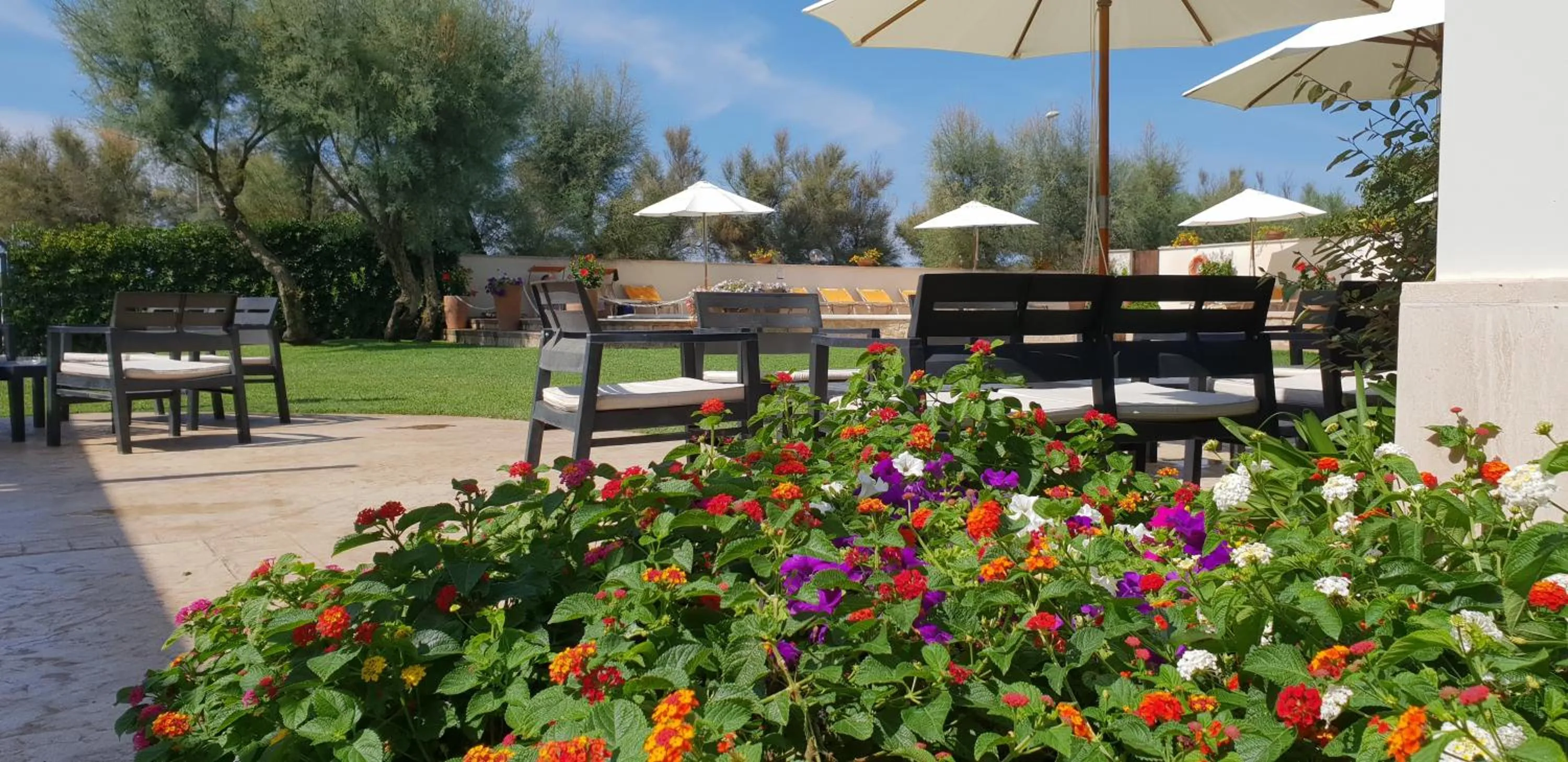 Patio in Hotel Corallo