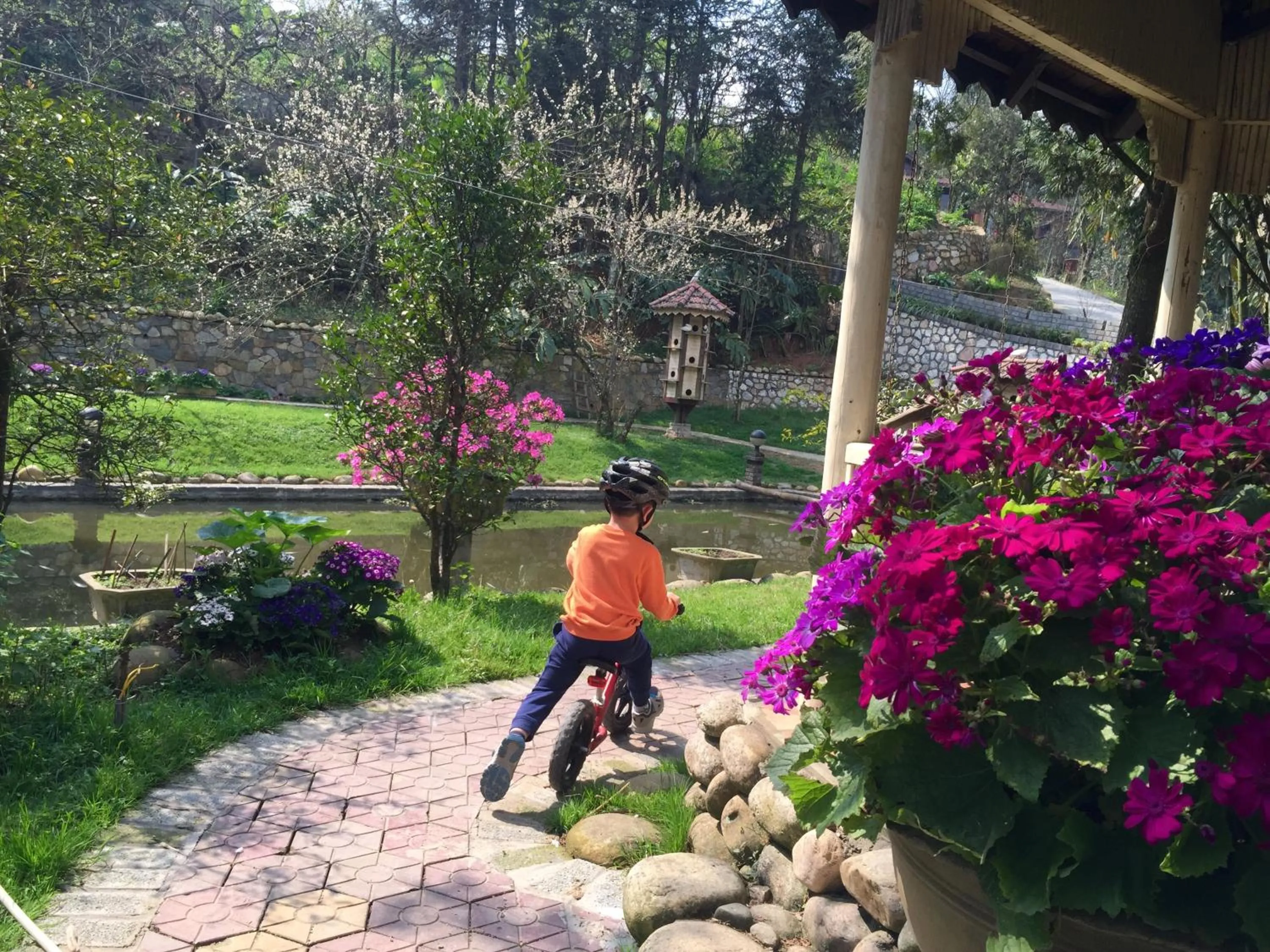 Spring in Sapa Garden Bed and Breakfast