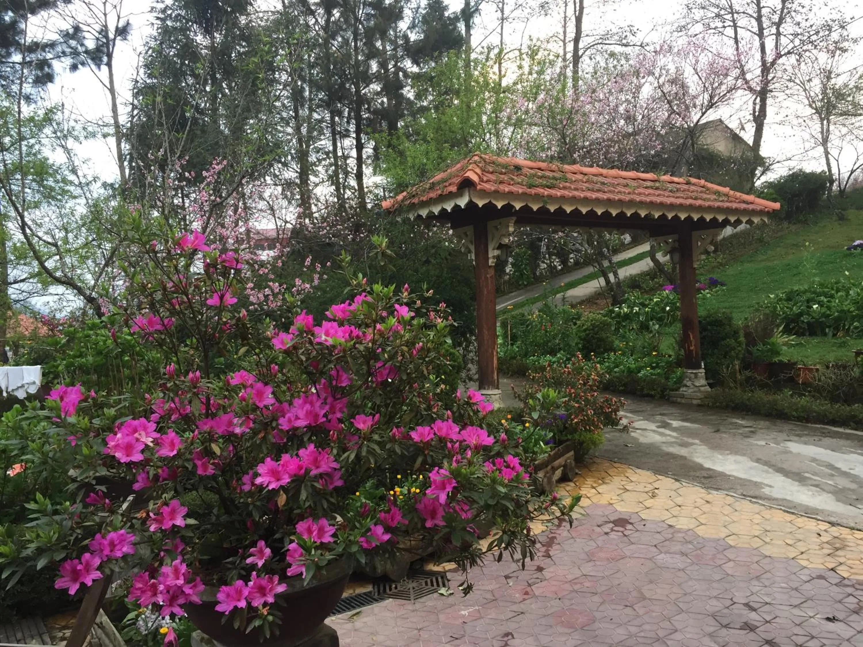 Spring in Sapa Garden Bed and Breakfast
