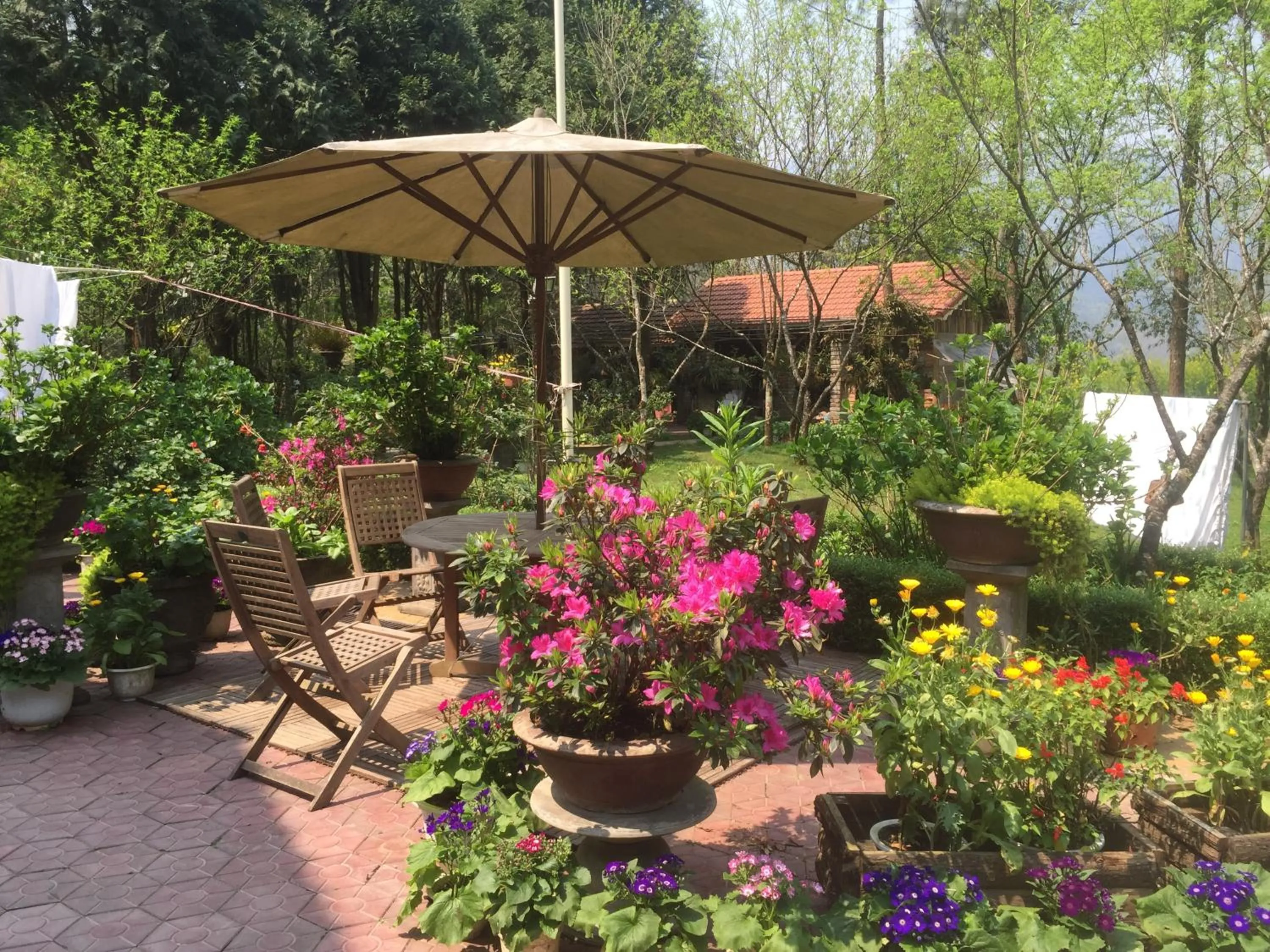 Patio in Sapa Garden Bed and Breakfast