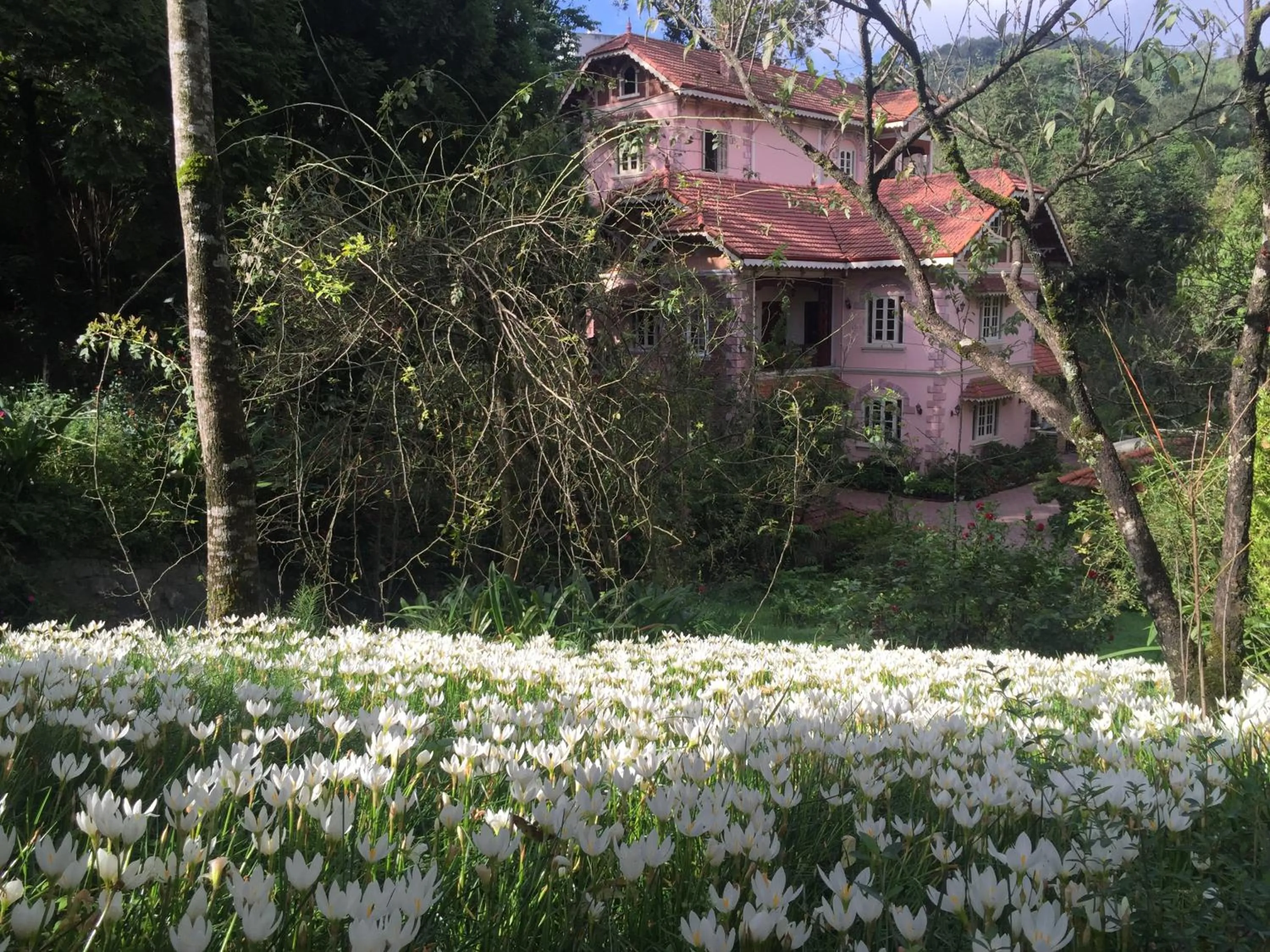 Property building in Sapa Garden Bed and Breakfast
