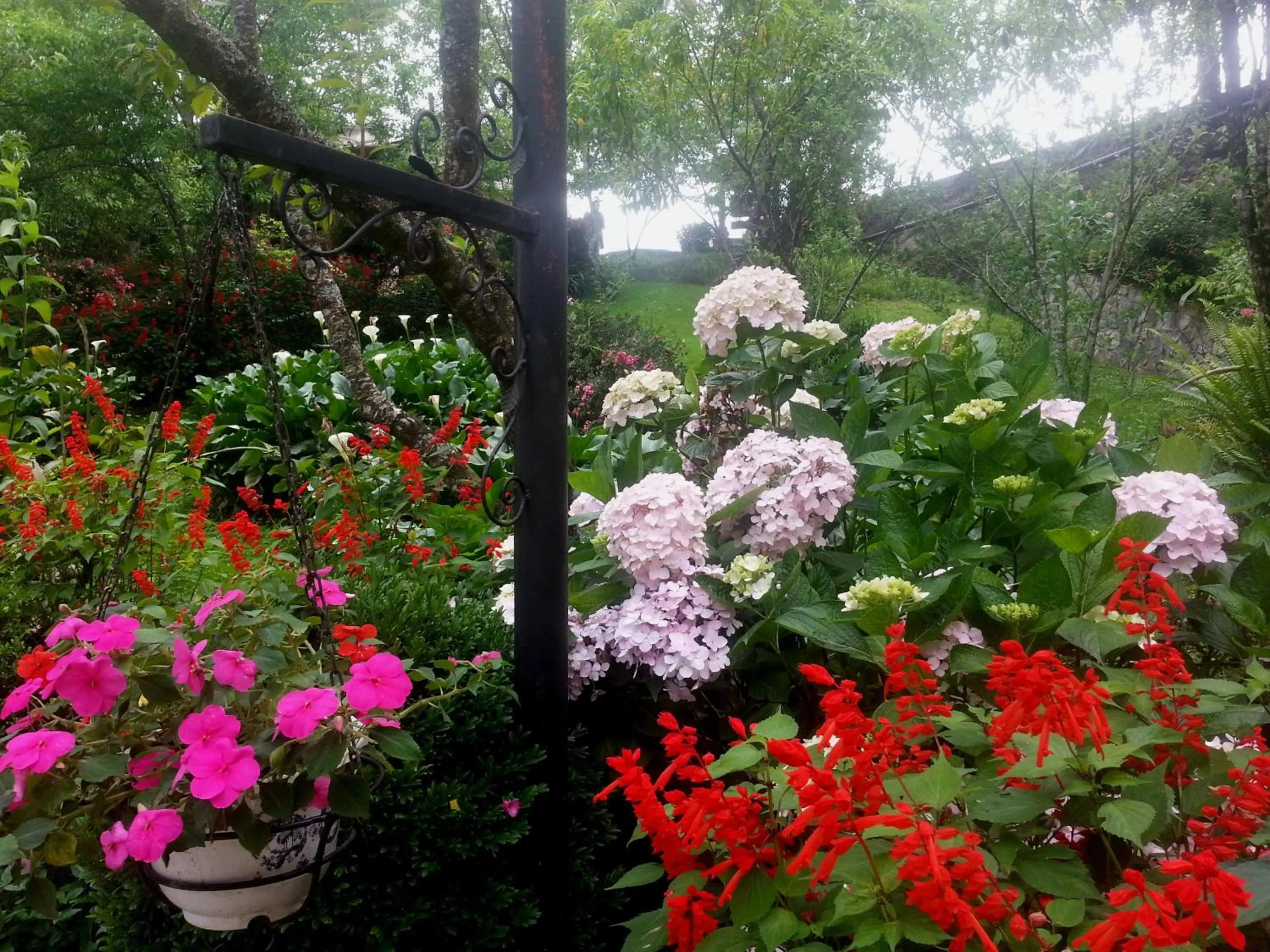 Other in Sapa Garden Bed and Breakfast