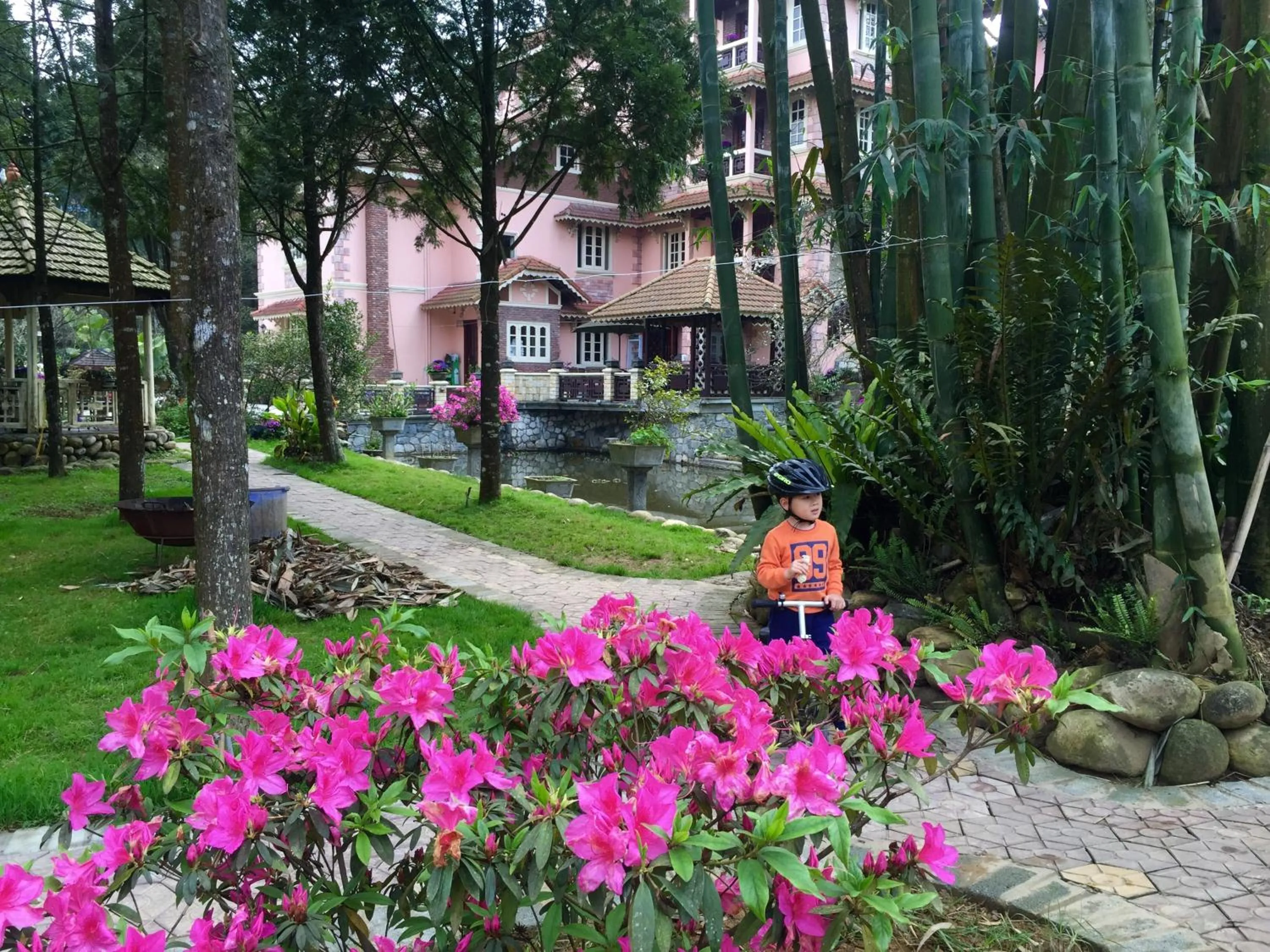 Spring in Sapa Garden Bed and Breakfast