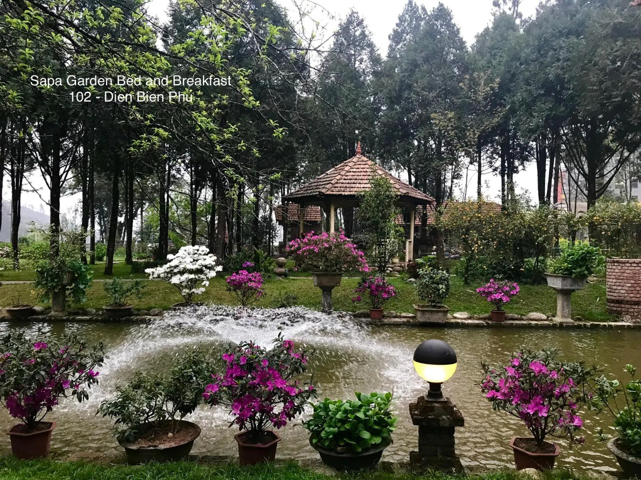 Garden in Sapa Garden Bed and Breakfast