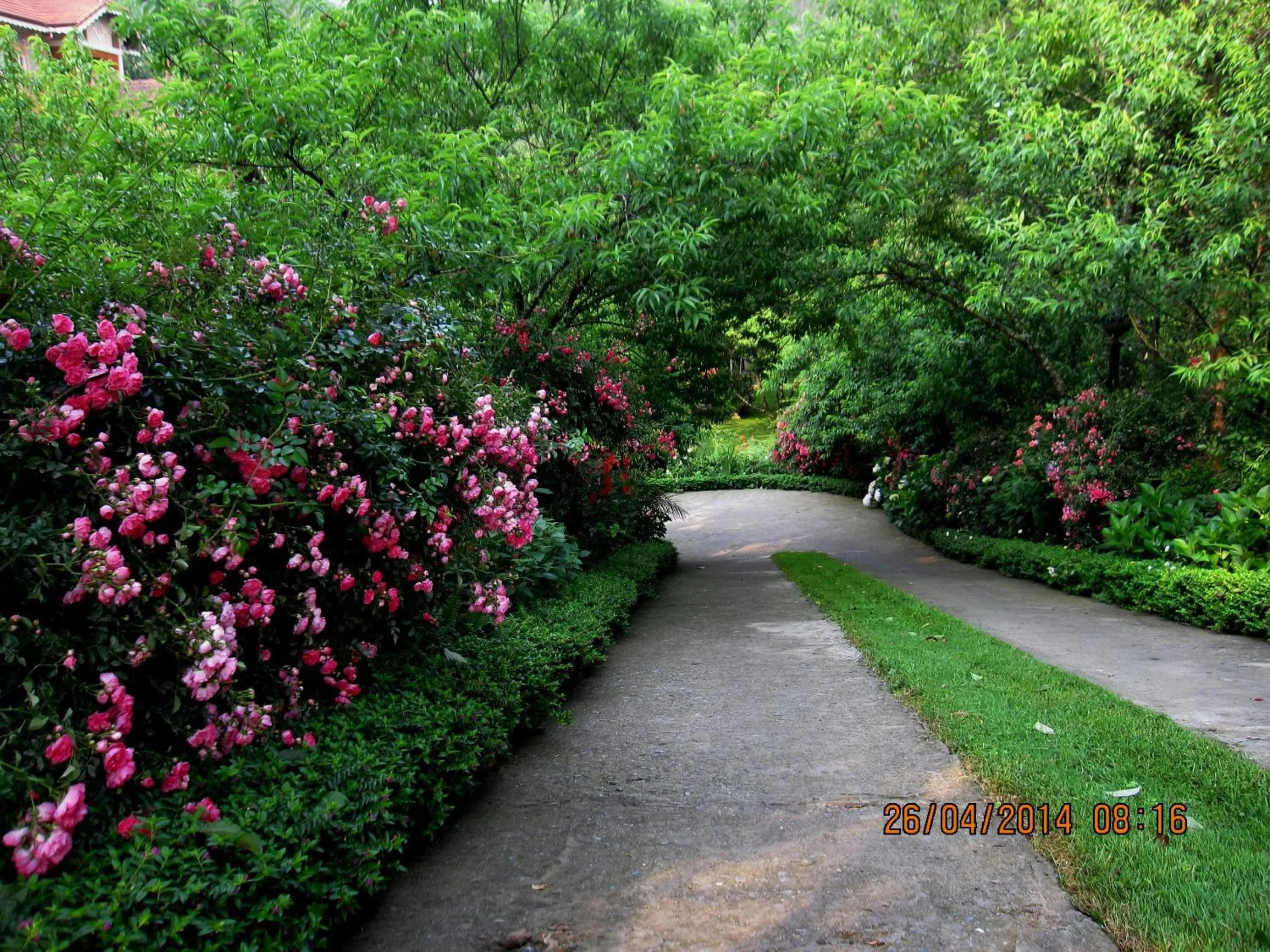 Garden in Sapa Garden Bed and Breakfast
