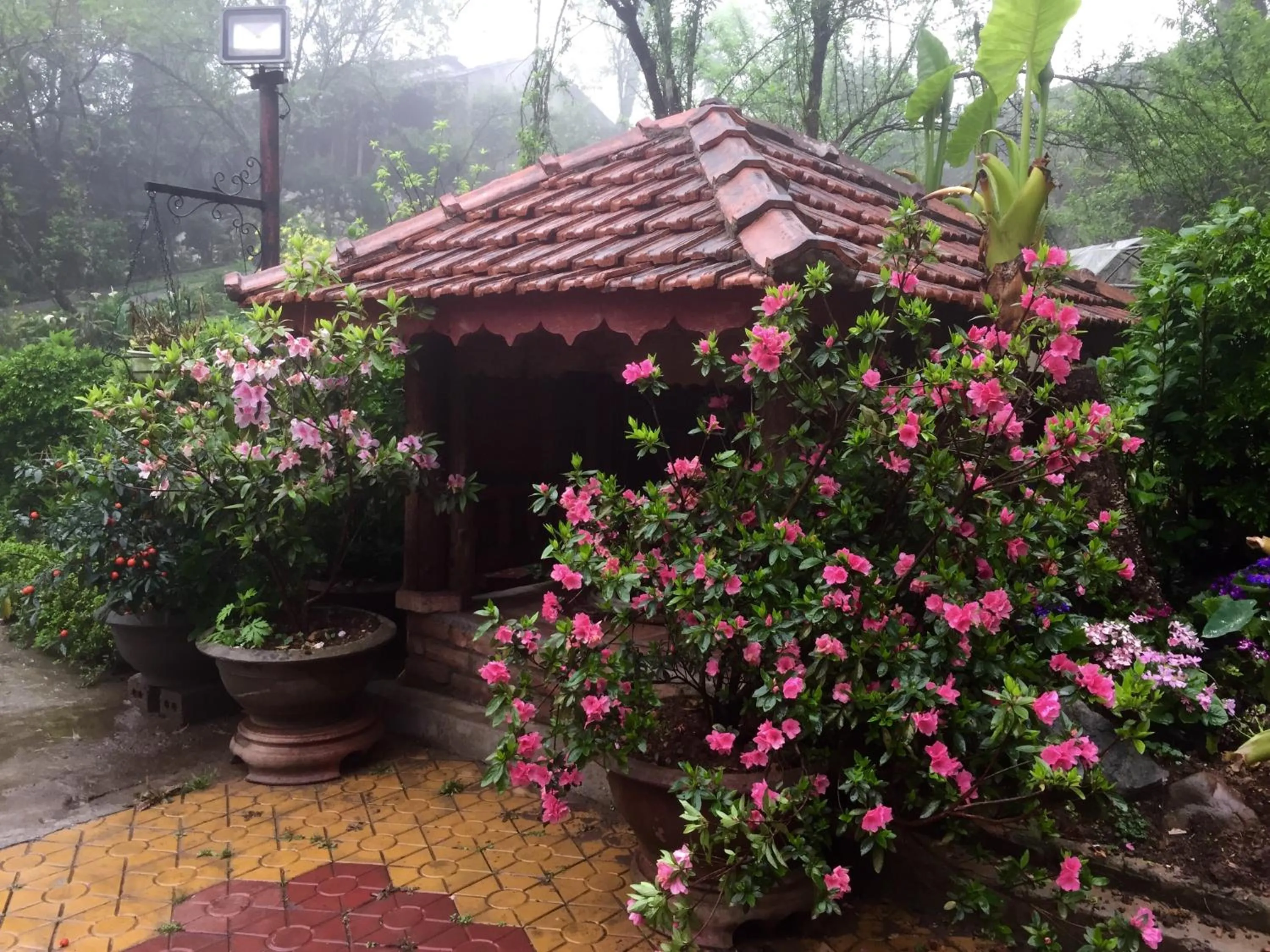 Spring in Sapa Garden Bed and Breakfast