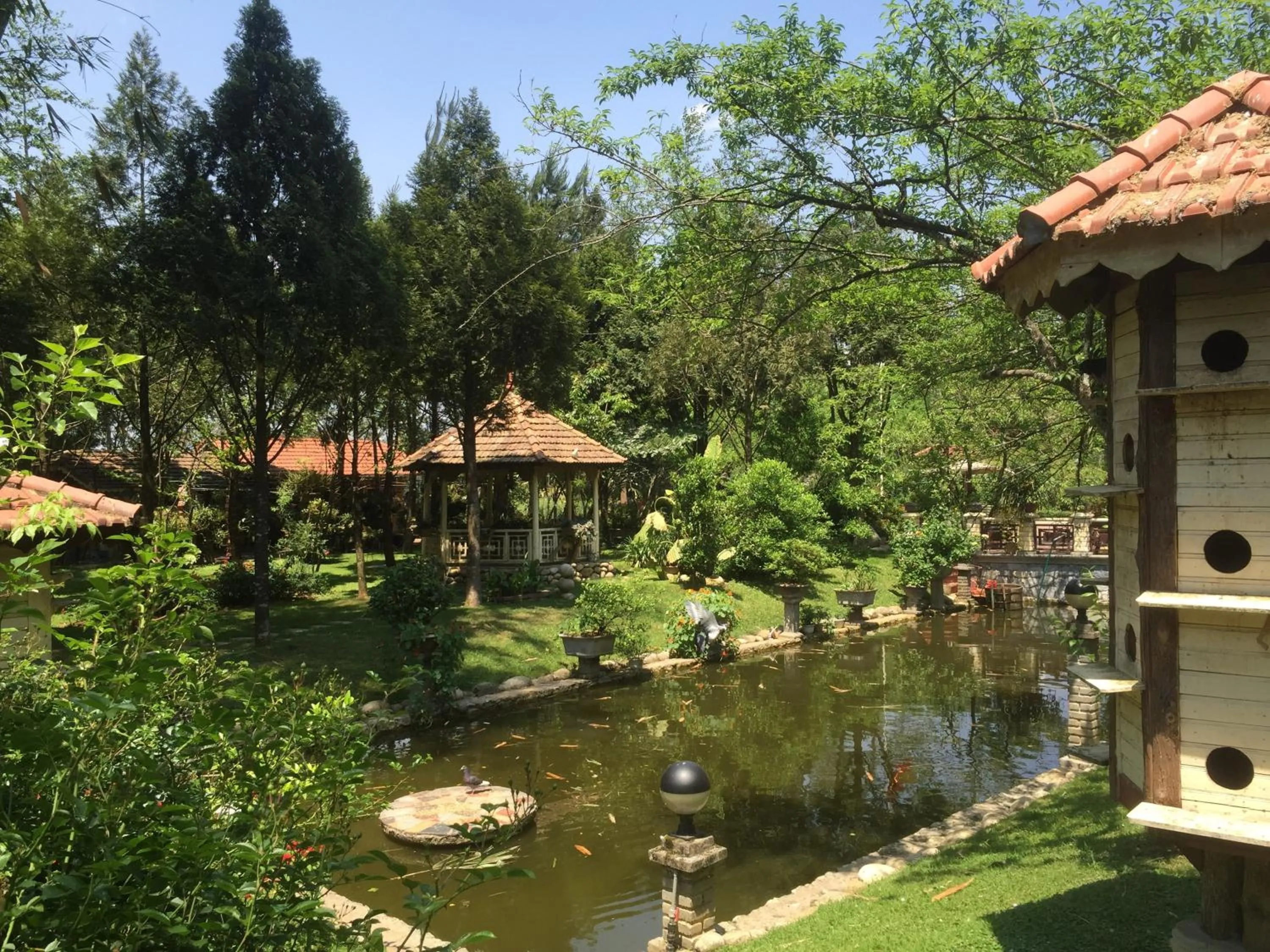 Day in Sapa Garden Bed and Breakfast