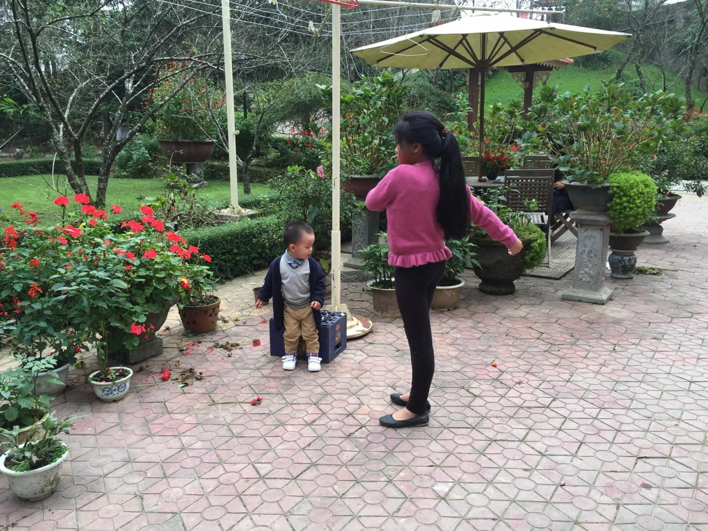 Day in Sapa Garden Bed and Breakfast