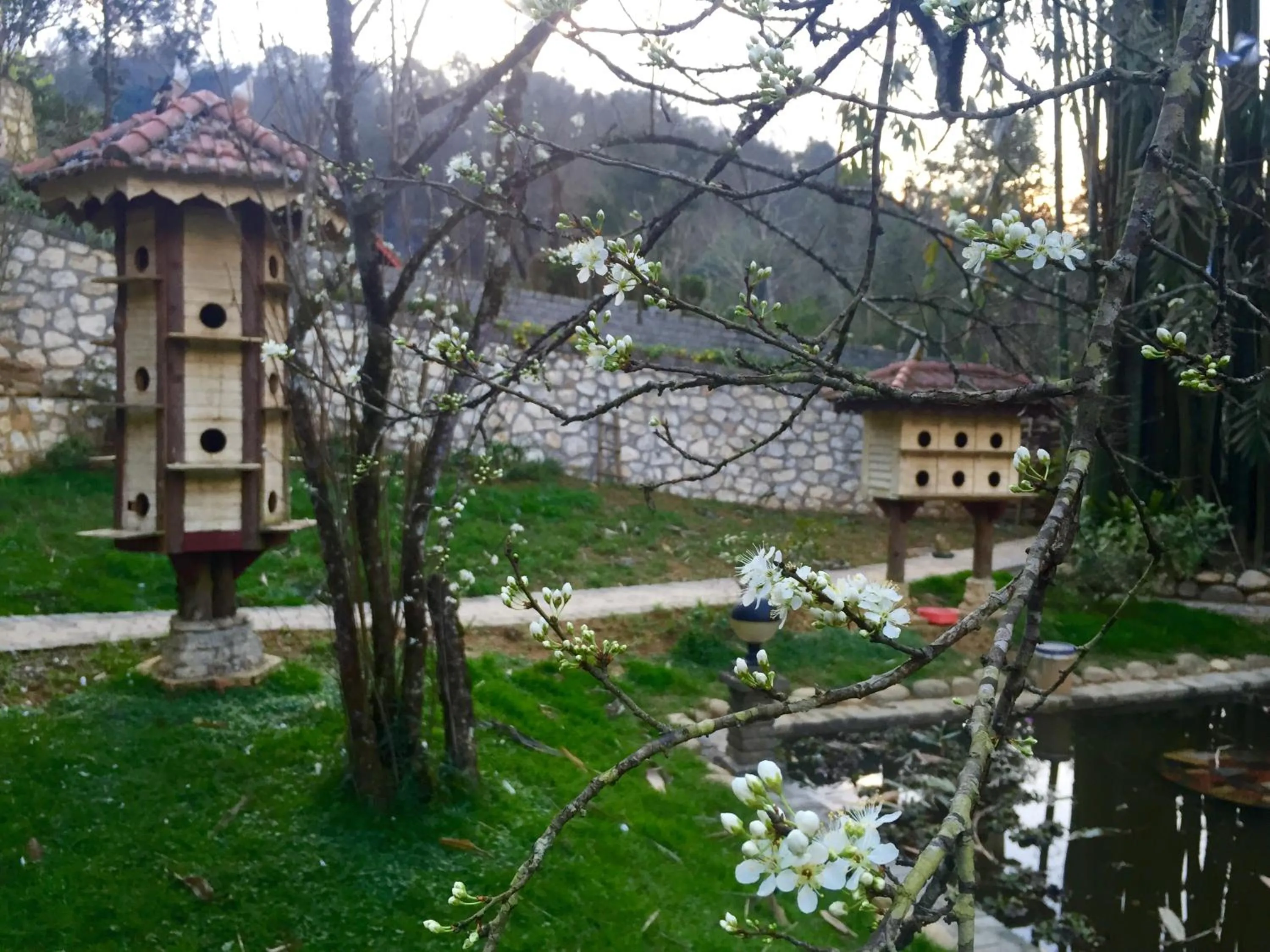 Spring in Sapa Garden Bed and Breakfast