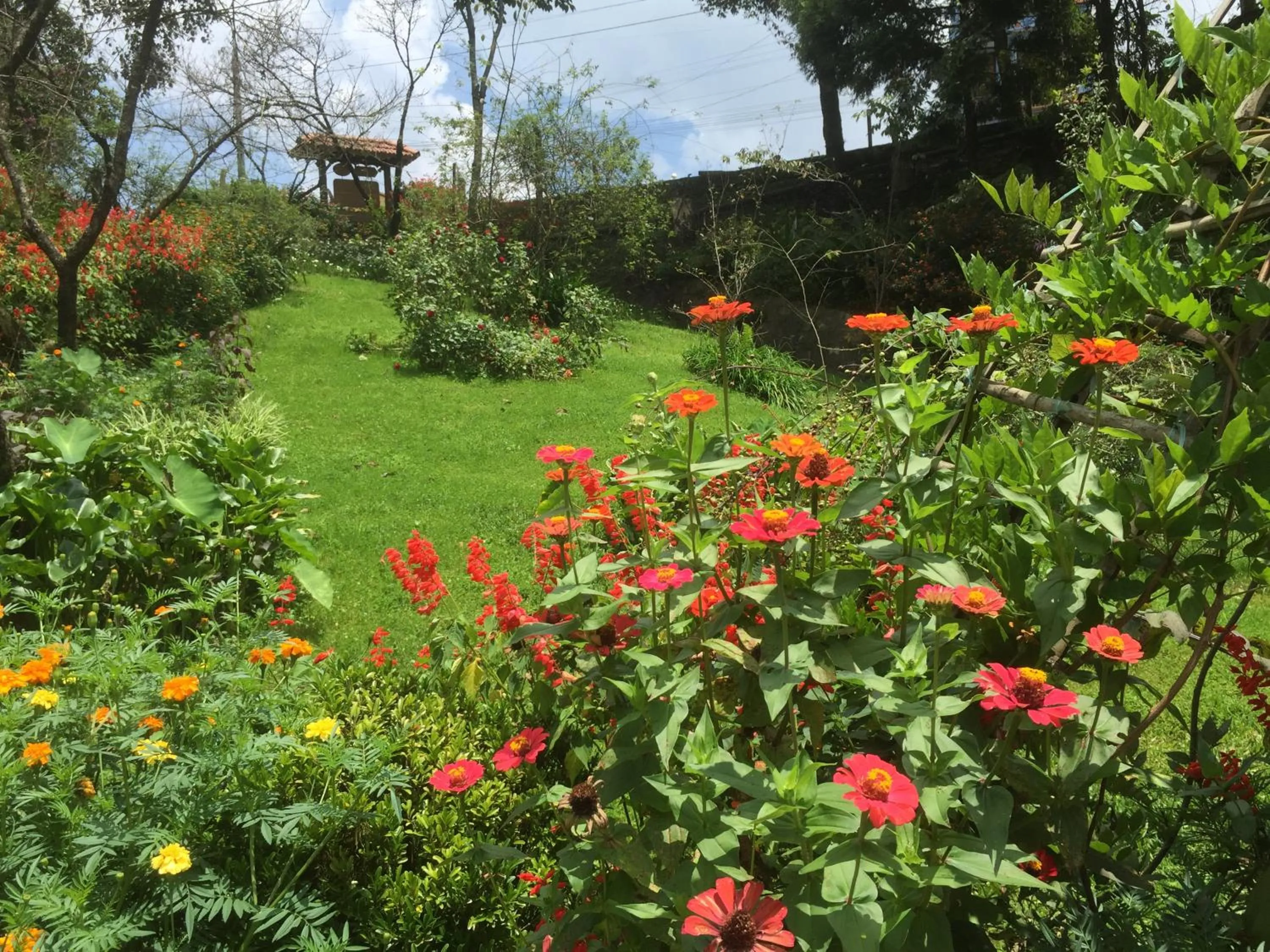 Spring in Sapa Garden Bed and Breakfast