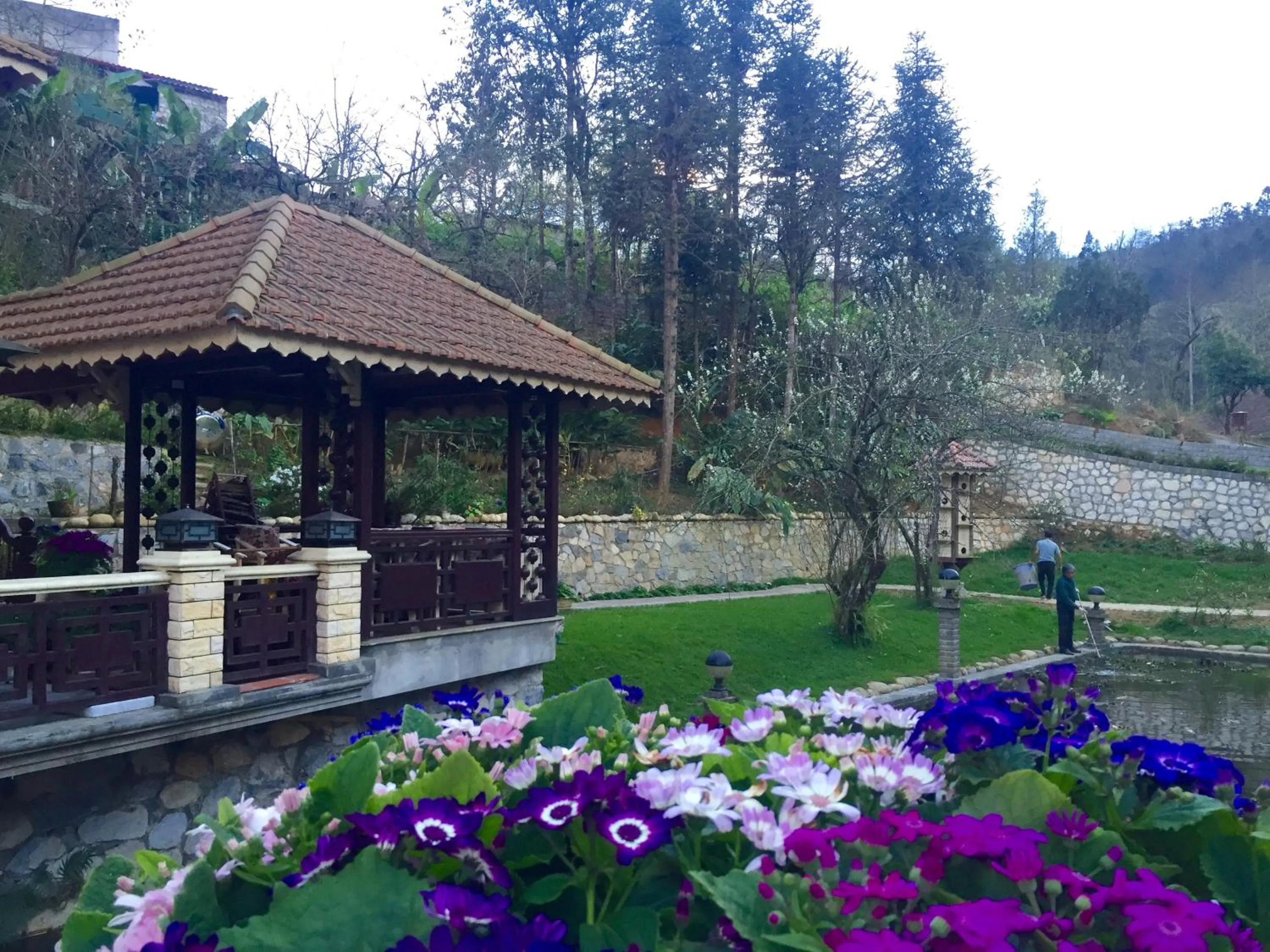 Spring in Sapa Garden Bed and Breakfast