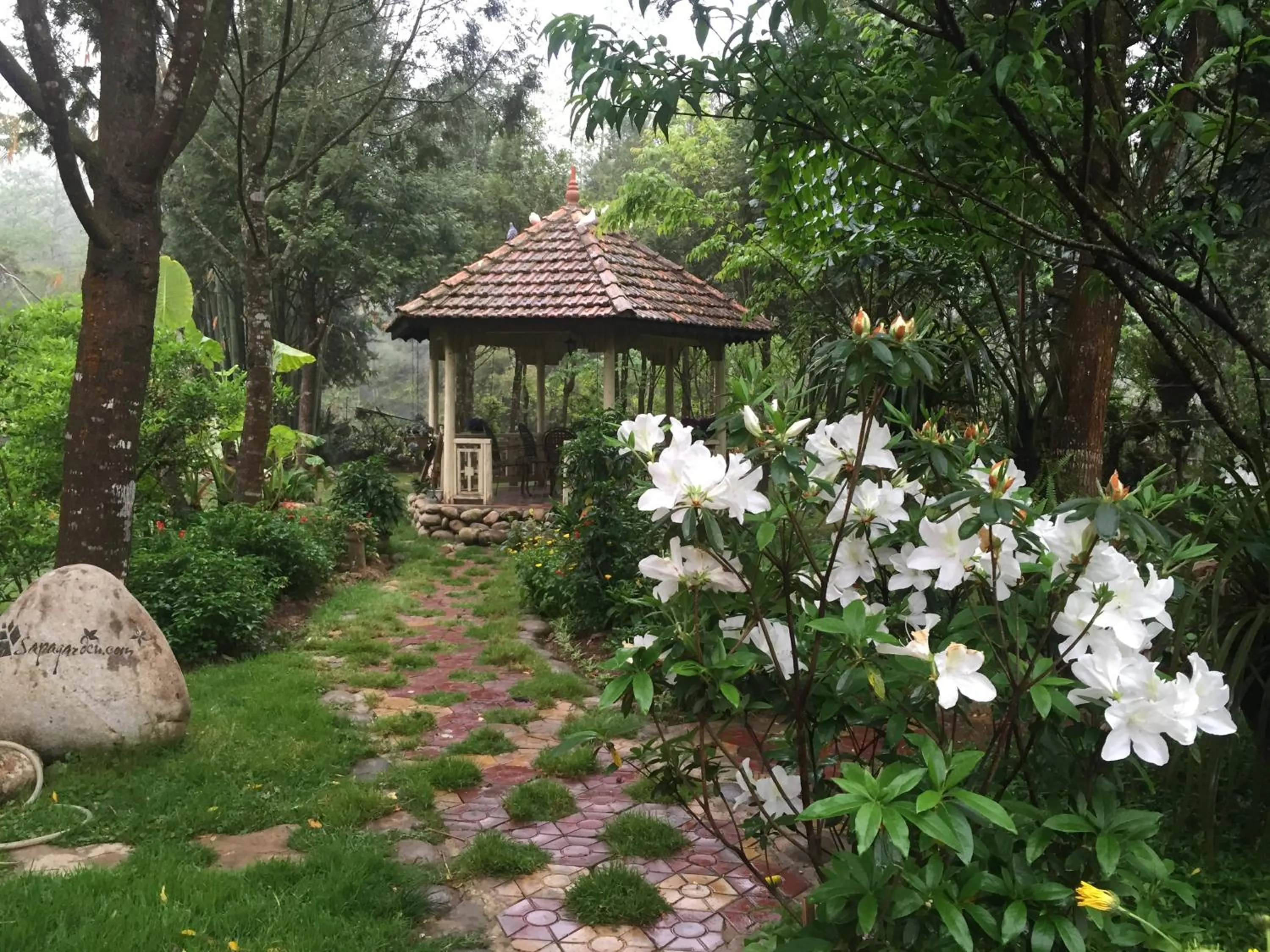 Day in Sapa Garden Bed and Breakfast