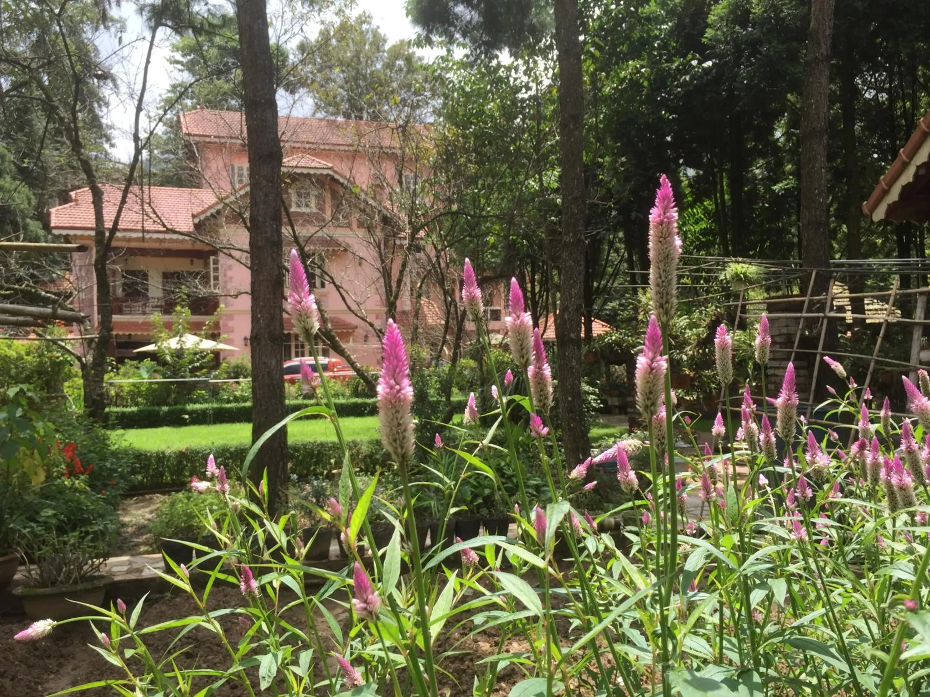 Property building in Sapa Garden Bed and Breakfast