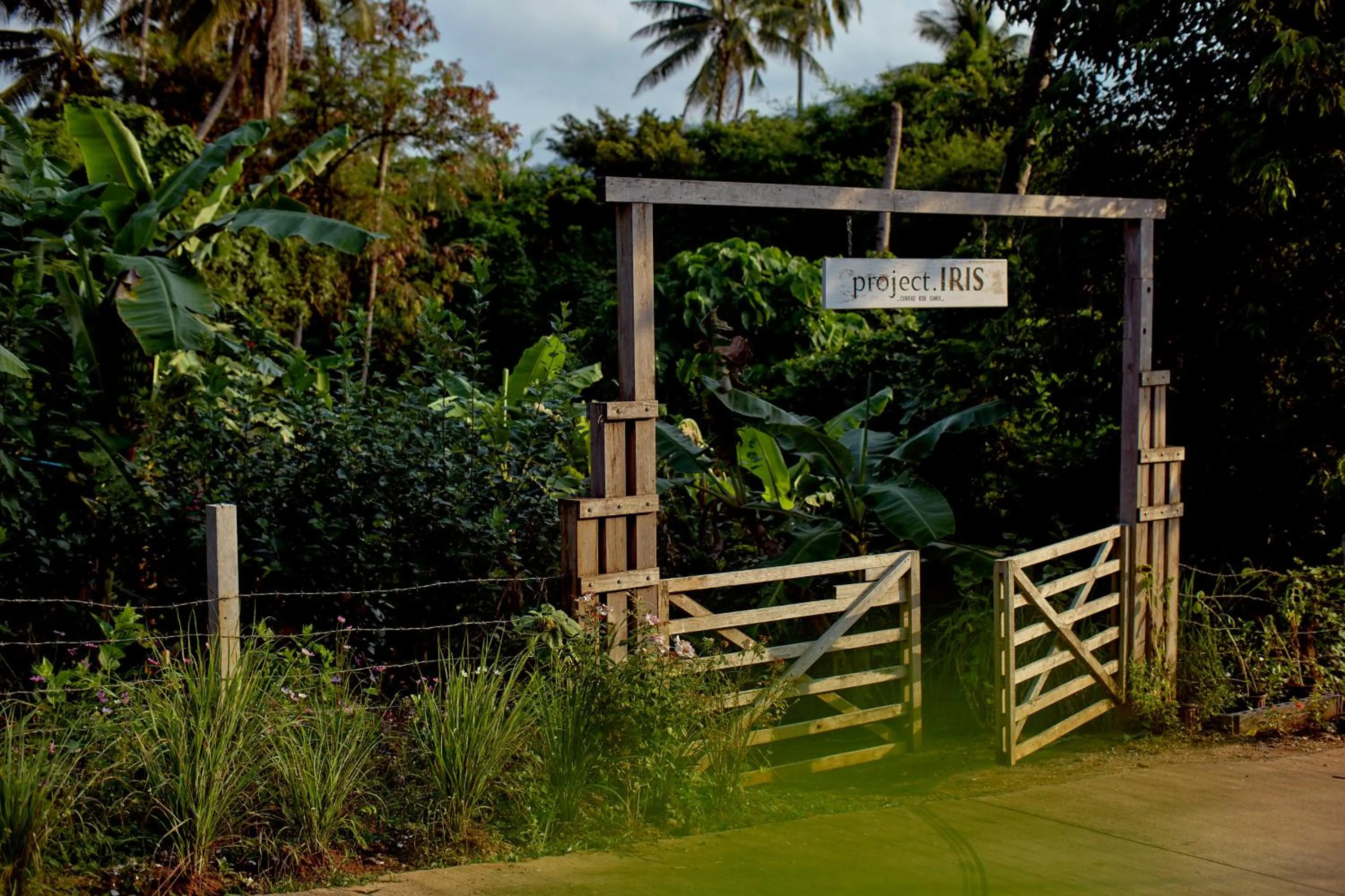 Activities in Conrad Koh Samui