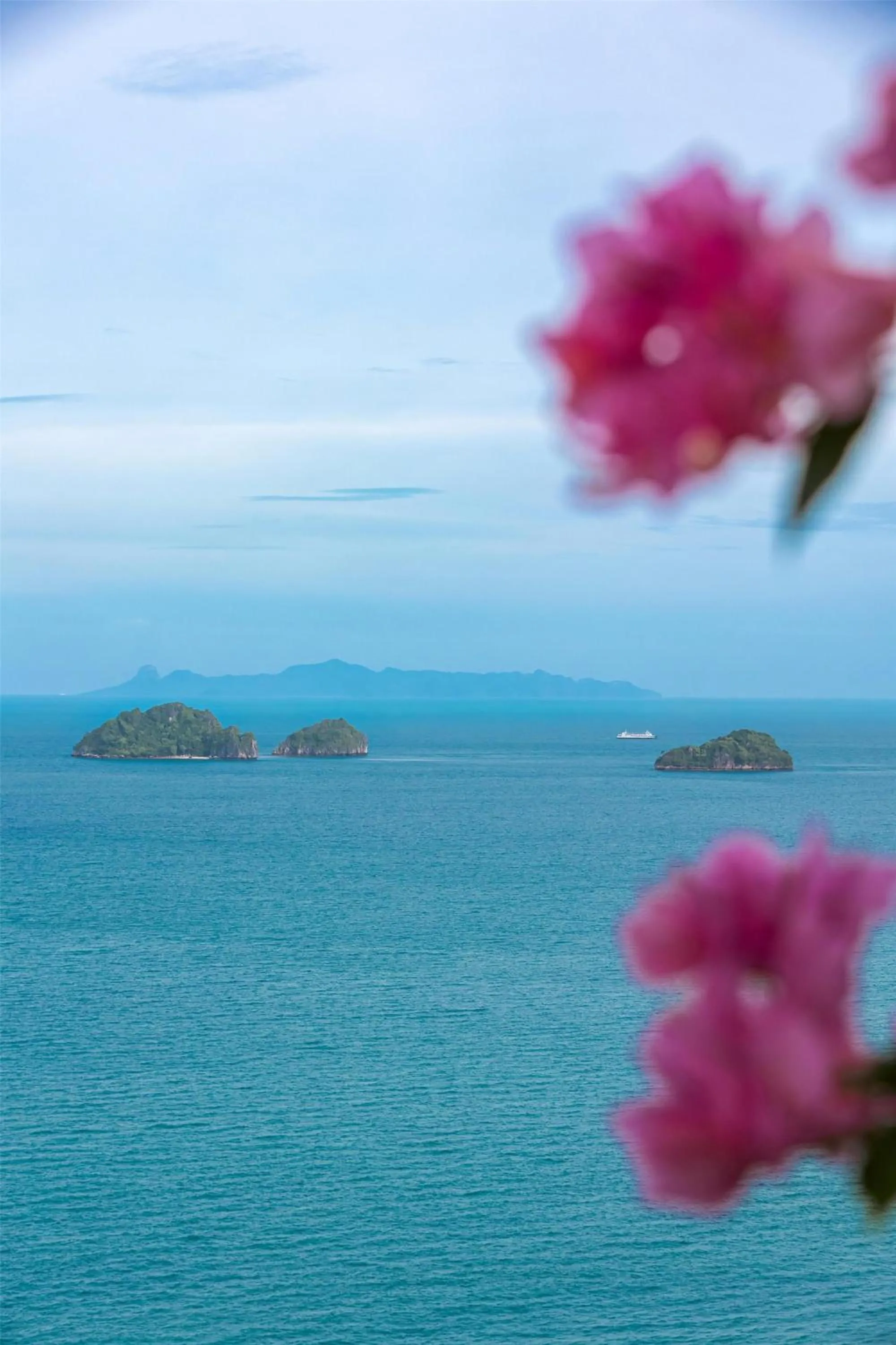 Natural landscape in Conrad Koh Samui