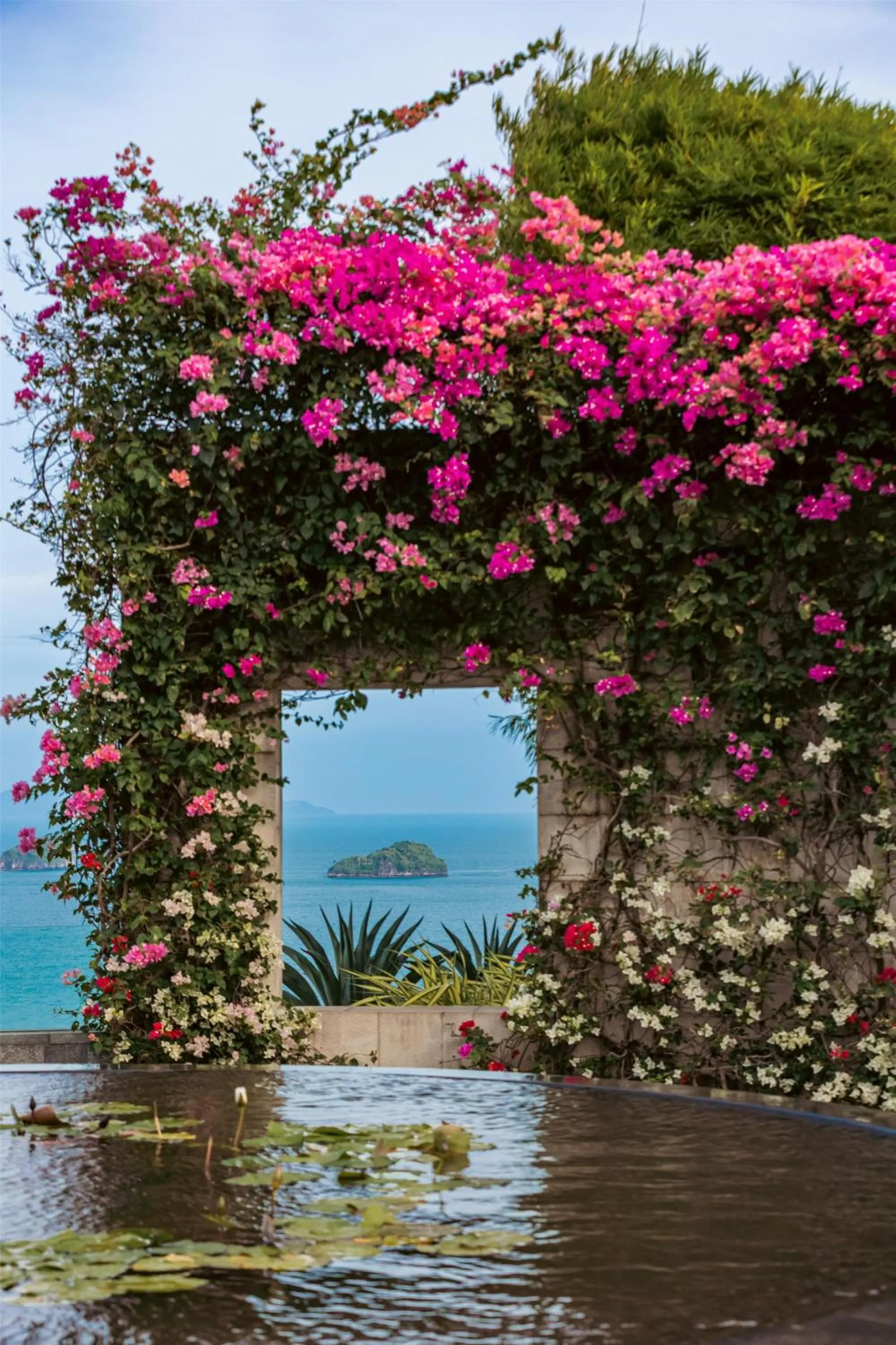Natural landscape in Conrad Koh Samui