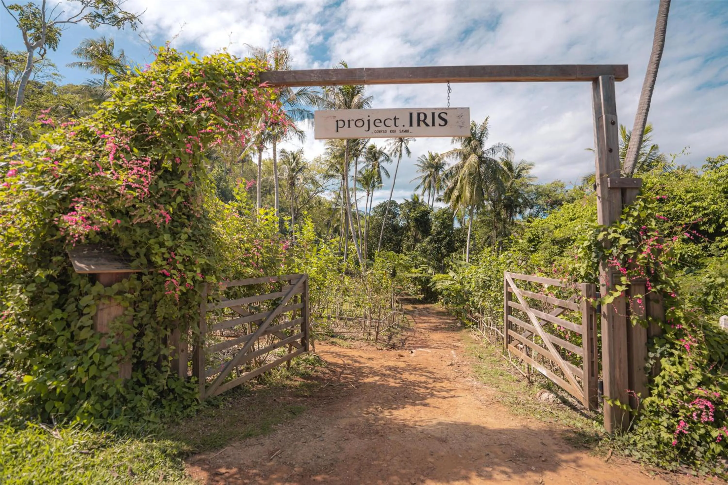 Activities in Conrad Koh Samui