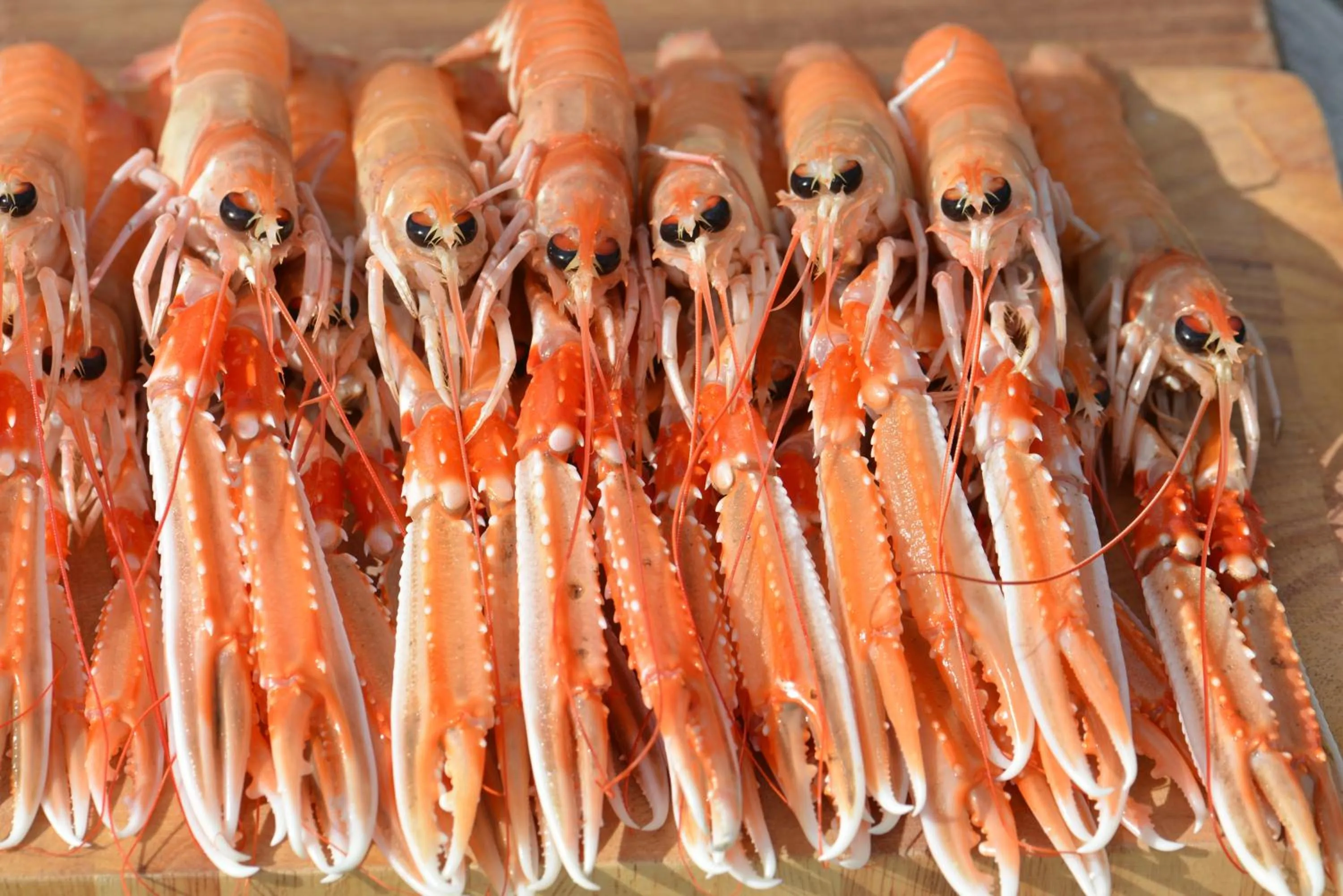 Dinner in Home Farm Bed and Breakfast