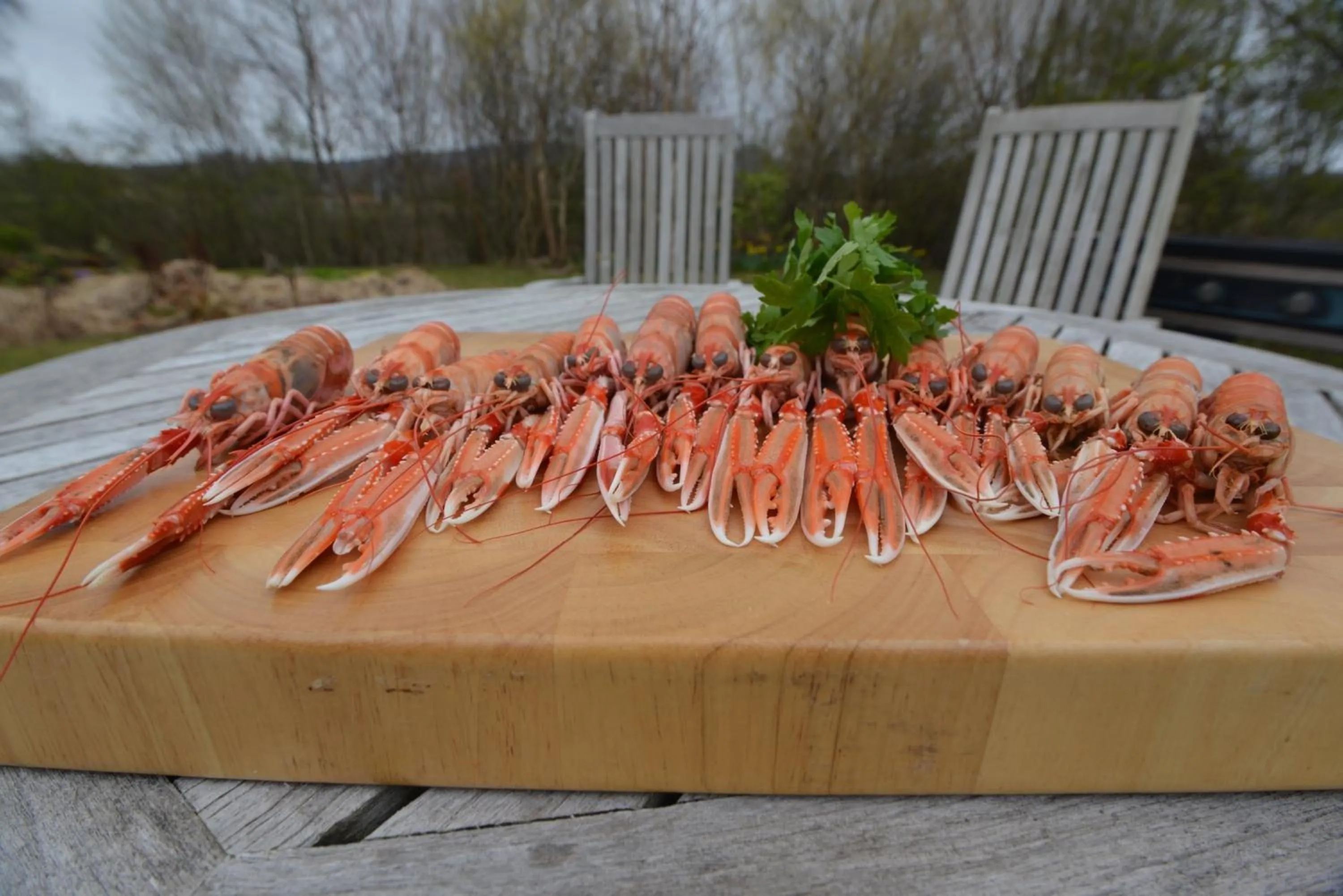 Food in Home Farm Bed and Breakfast