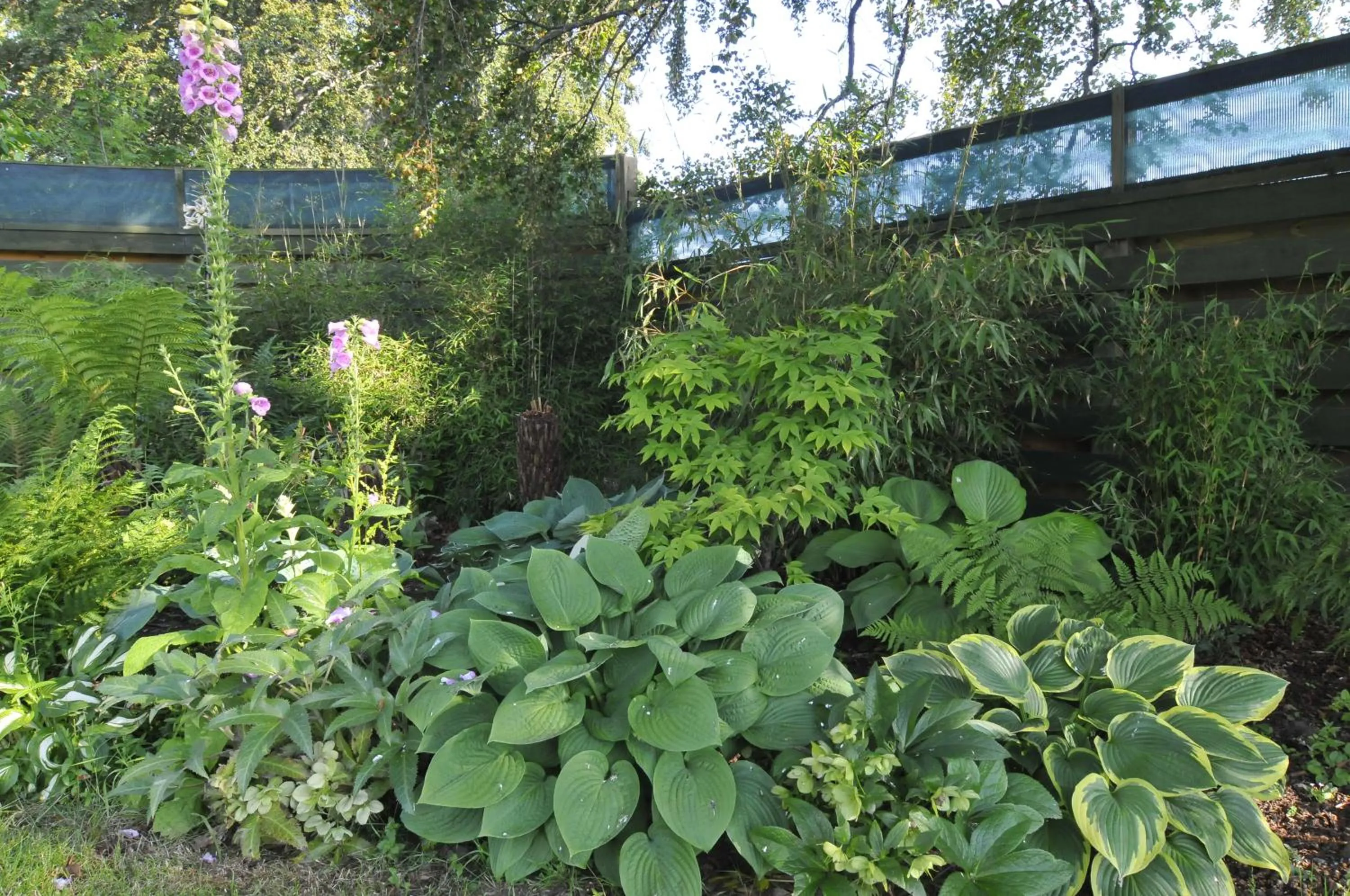Garden in Home Farm Bed and Breakfast