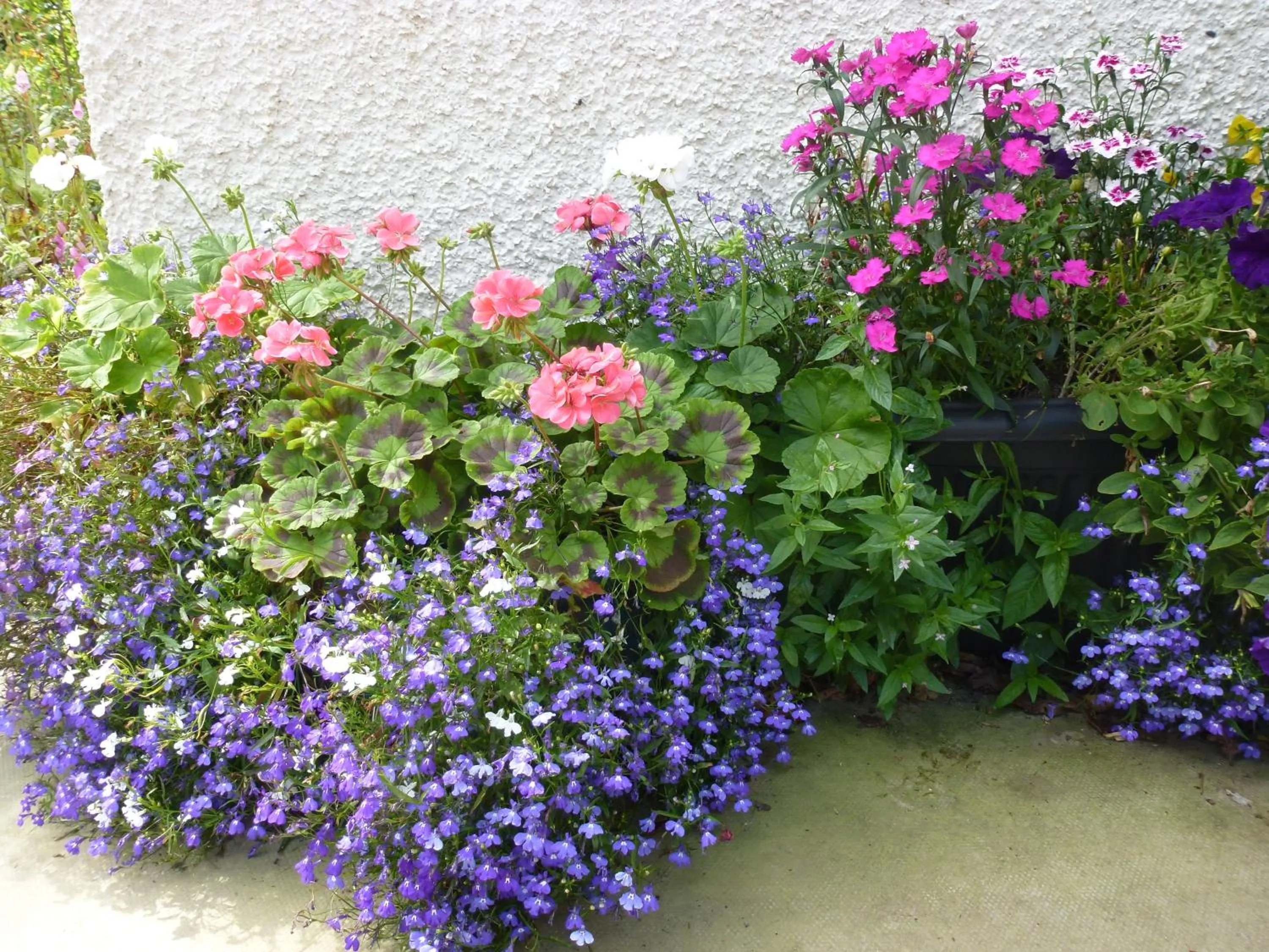 Garden in Home Farm Bed and Breakfast