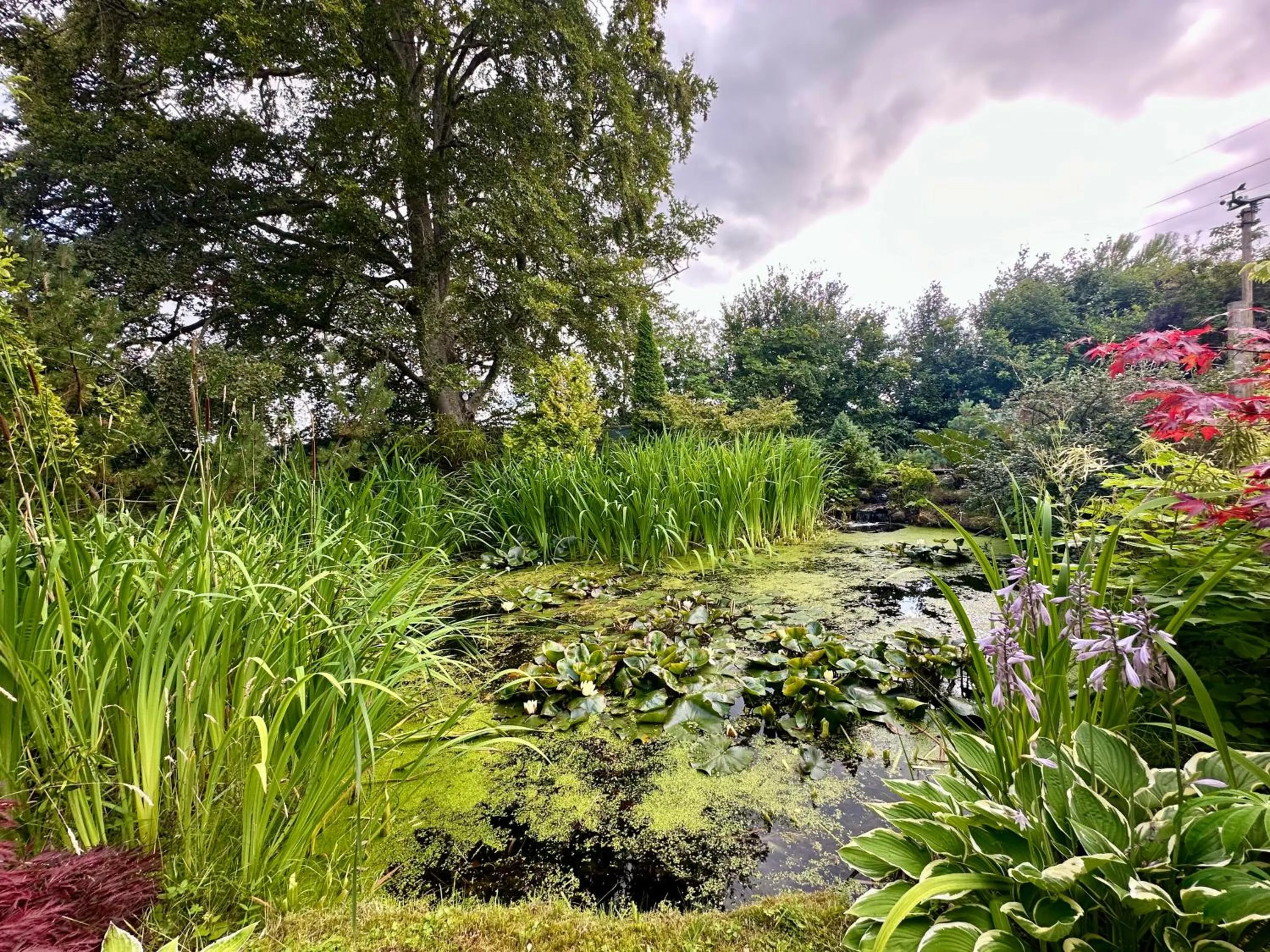 Garden in Home Farm Bed and Breakfast