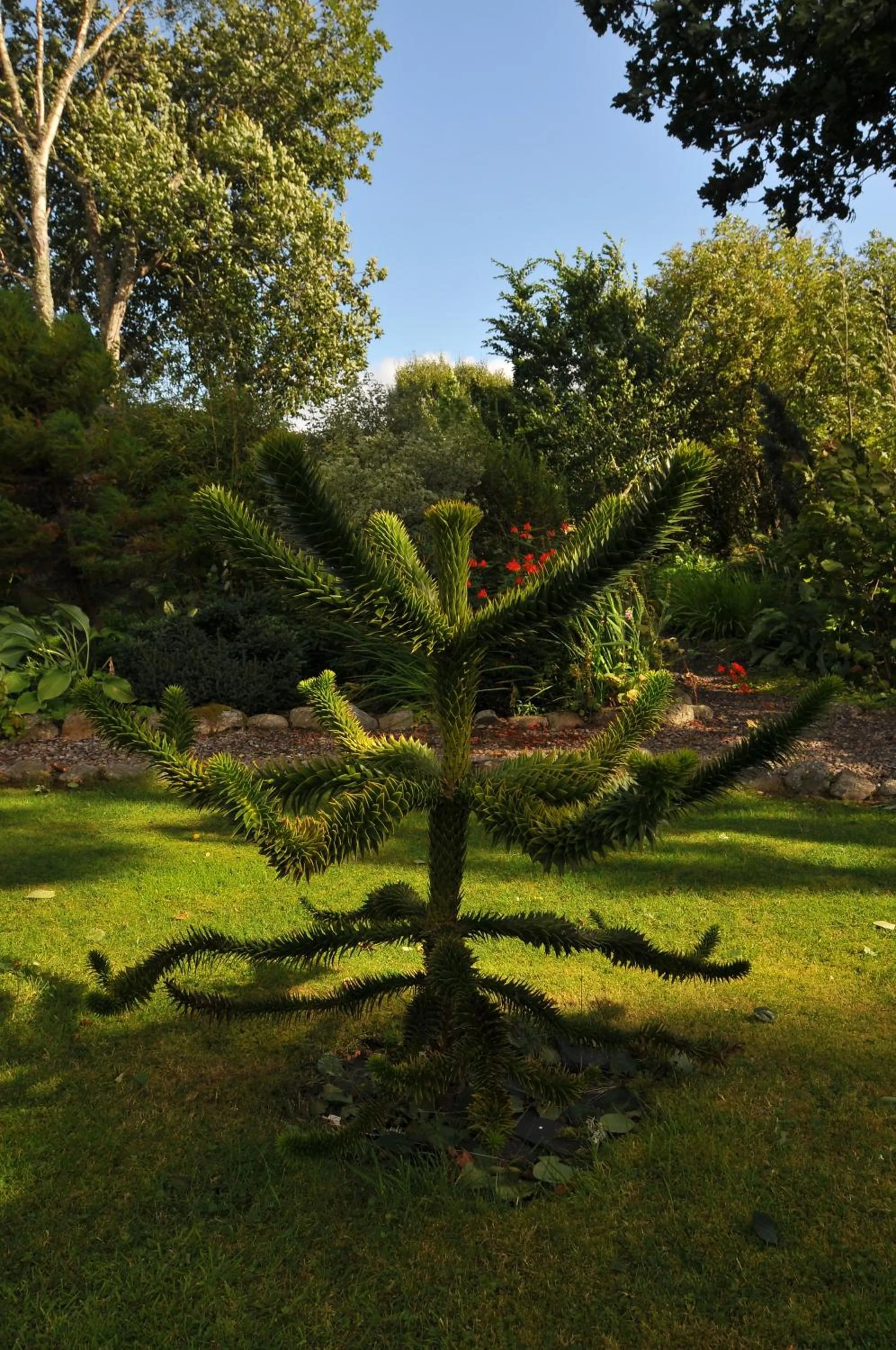 Garden in Home Farm Bed and Breakfast