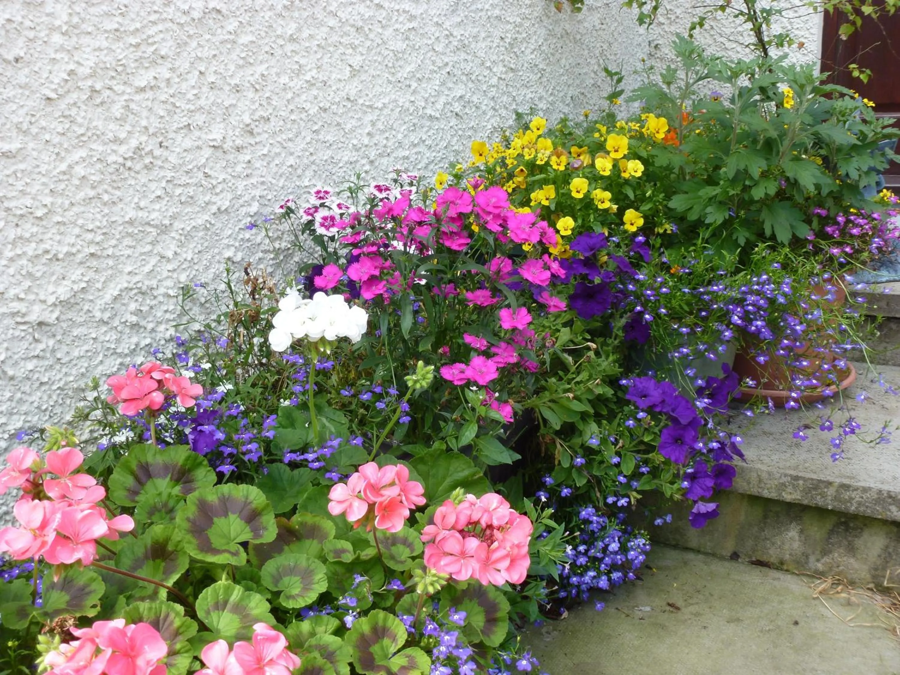 Garden in Home Farm Bed and Breakfast