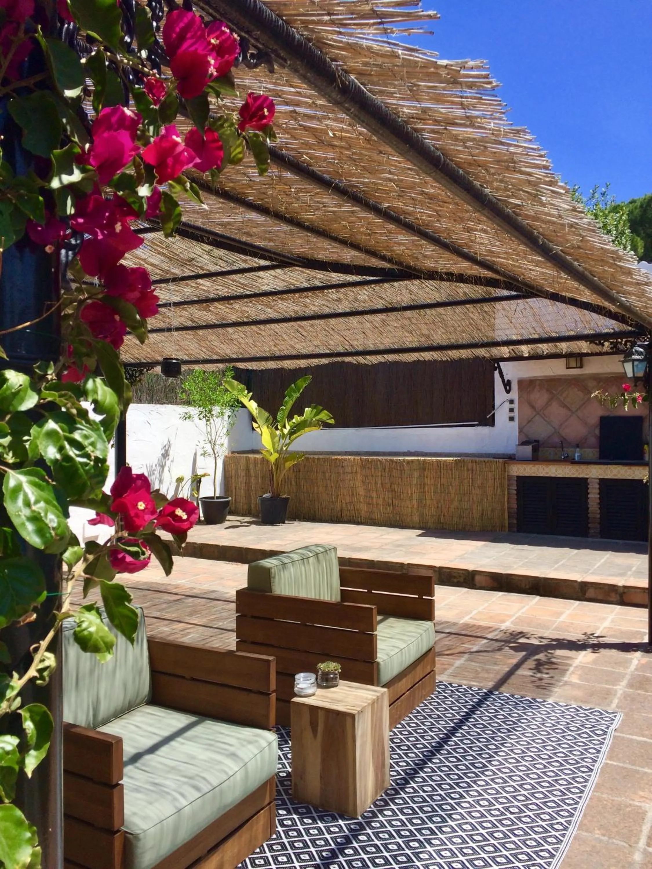 Garden in B&B Villa Pinos Málaga