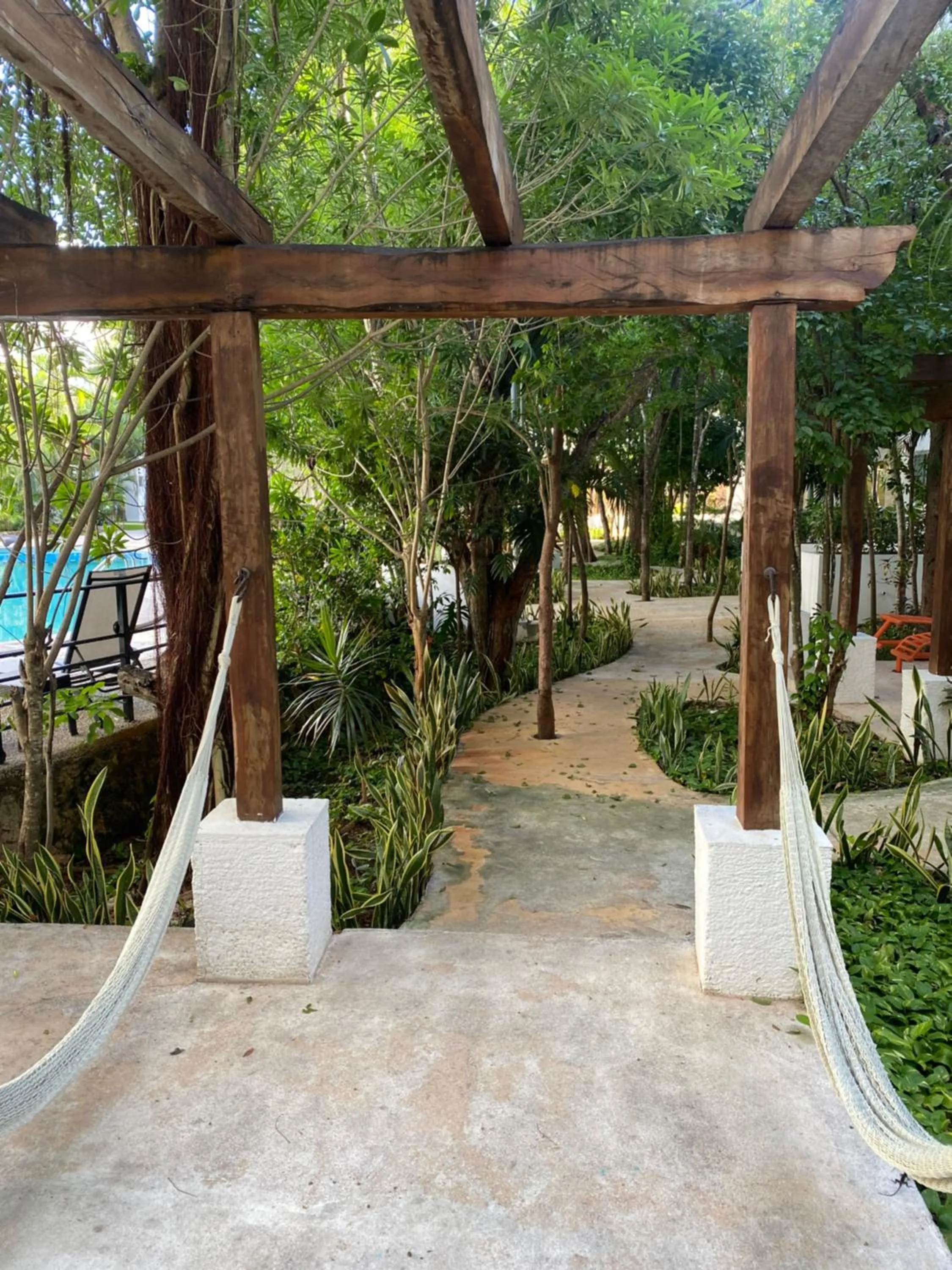 Garden in Beach Haus-Punta Estrella