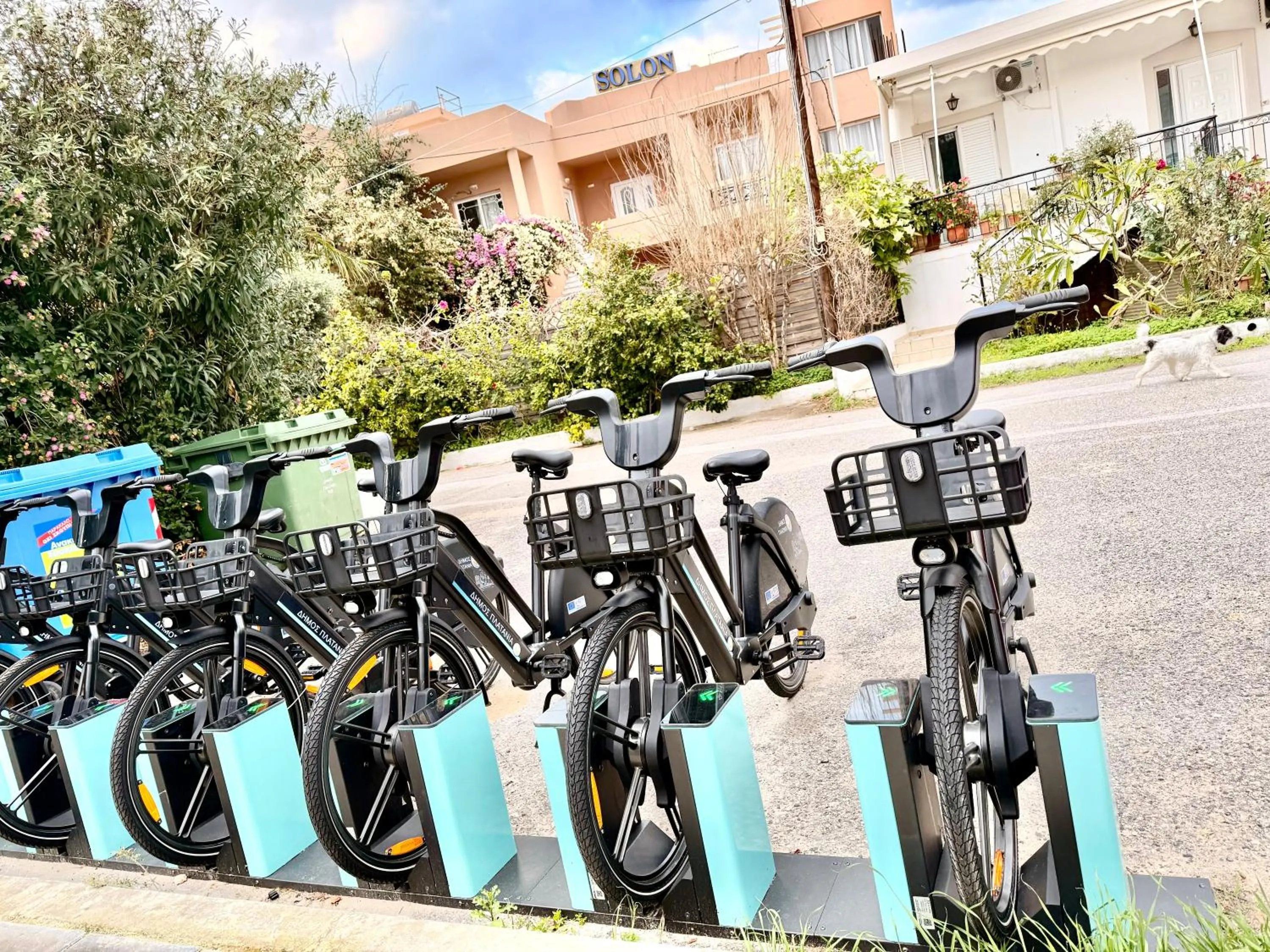 Day in Solon Apartments