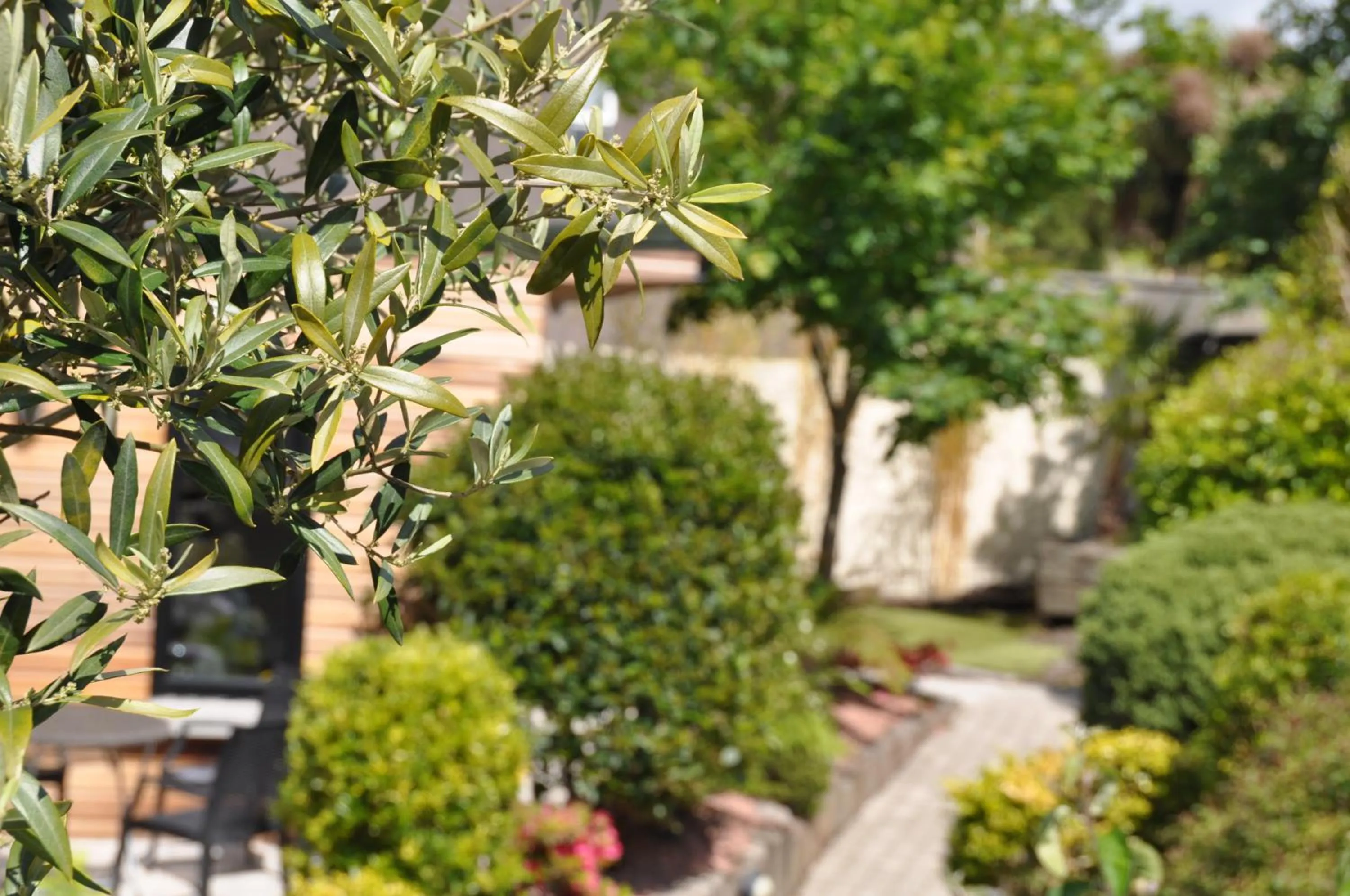 Garden in Quinlan & Cooke Boutique Townhouse and QCs Seafood Restaurant