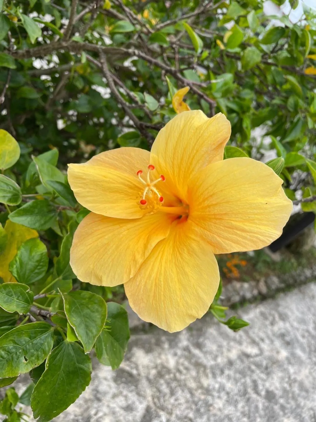 guesthouse yu -SEVEN Hotels and Resorts-