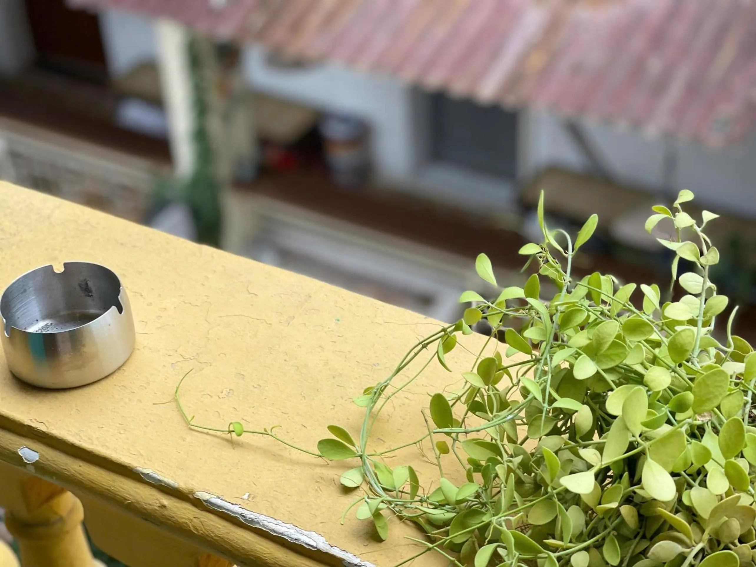 Hanoi EcoStay 2 hostel