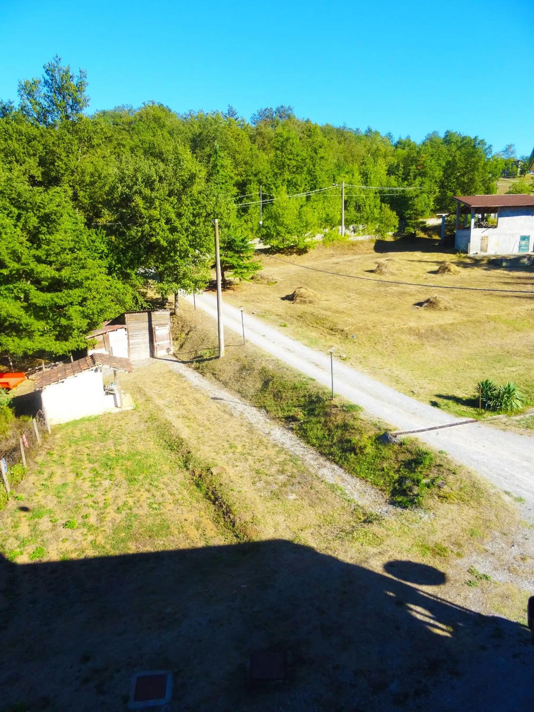 Street view in La Celestina