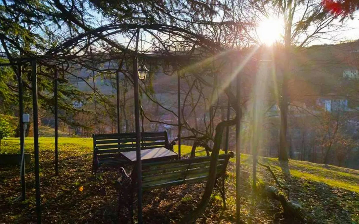 Garden in La Celestina