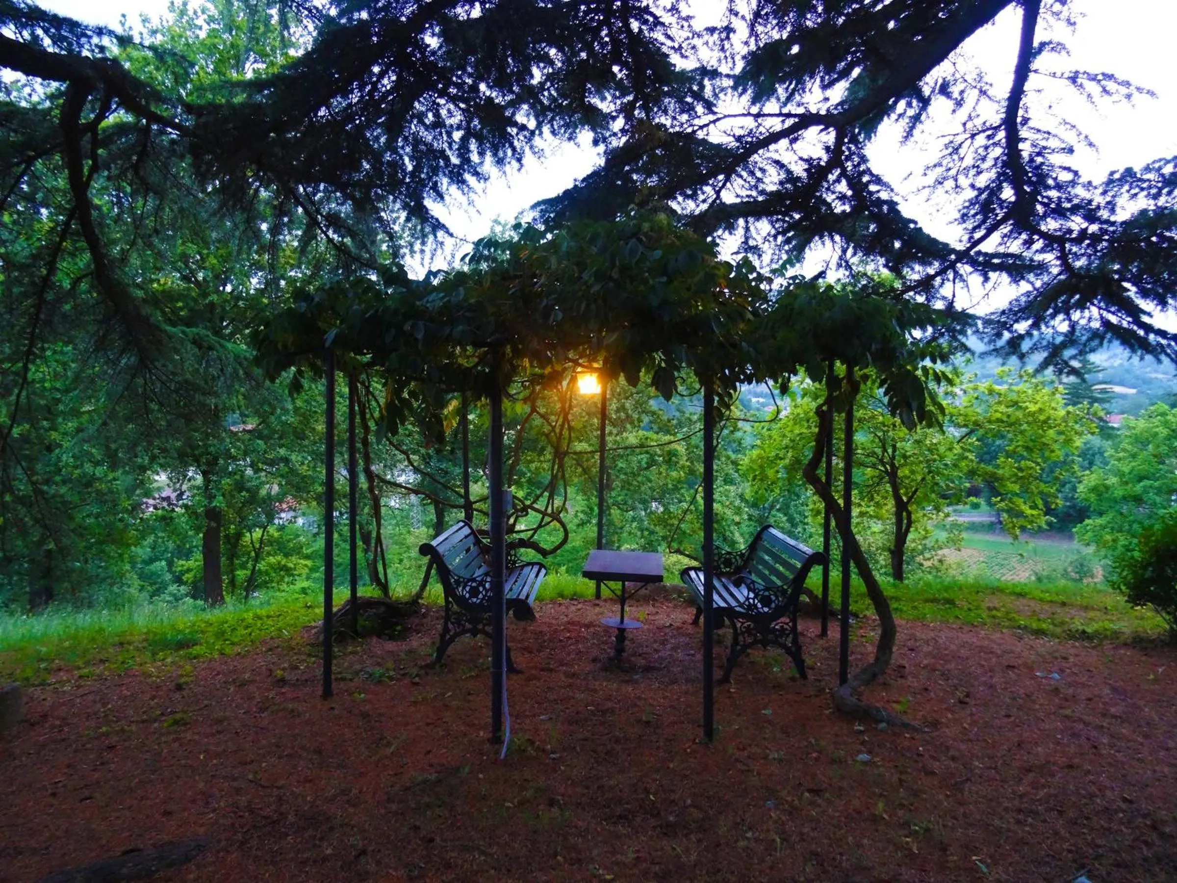 Garden in La Celestina