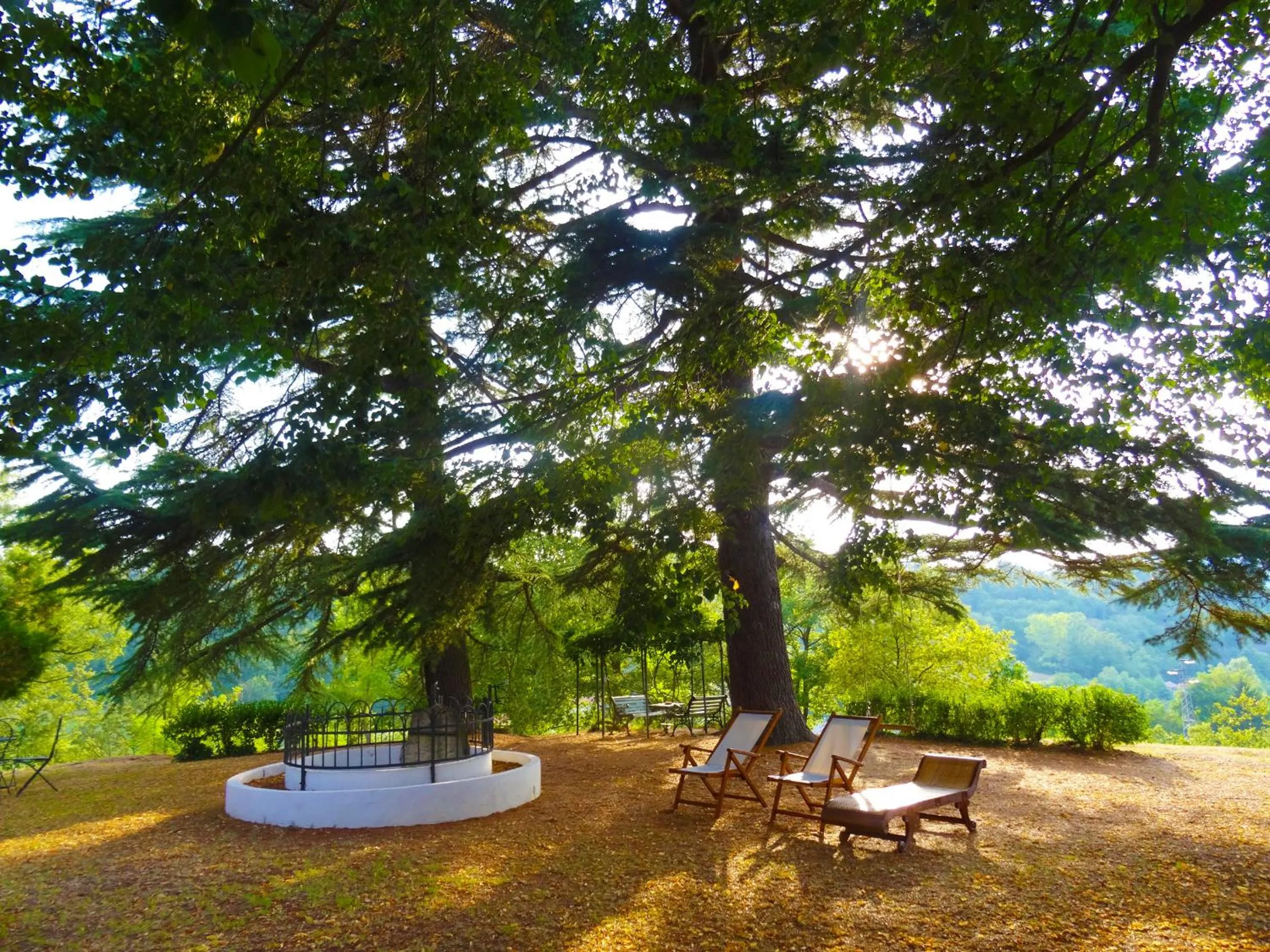 Garden in La Celestina