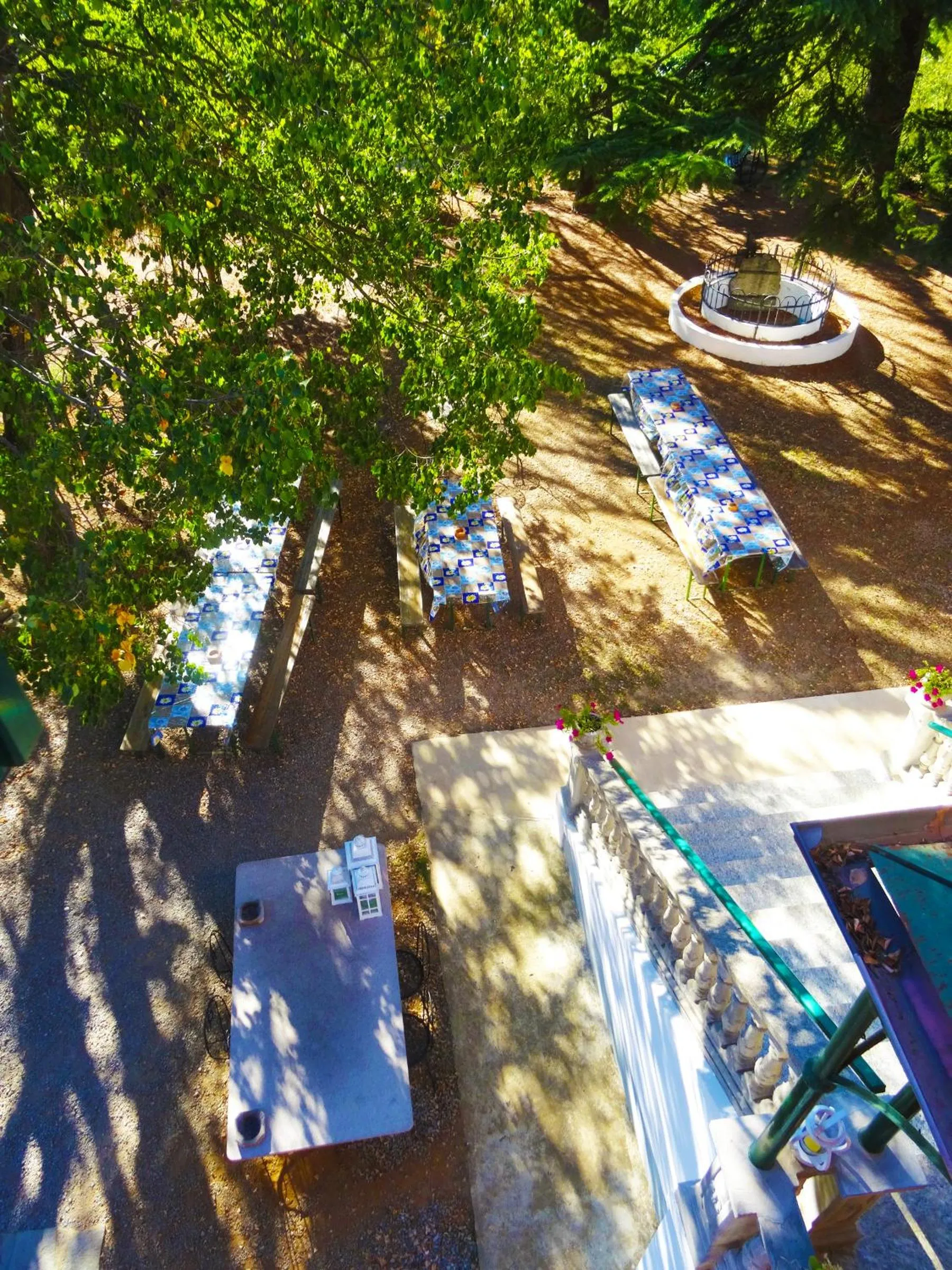 Garden view in La Celestina