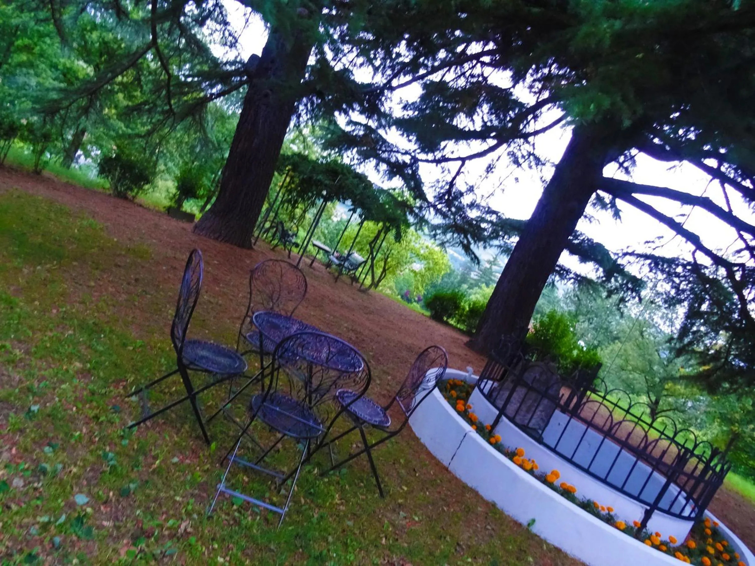 Garden in La Celestina