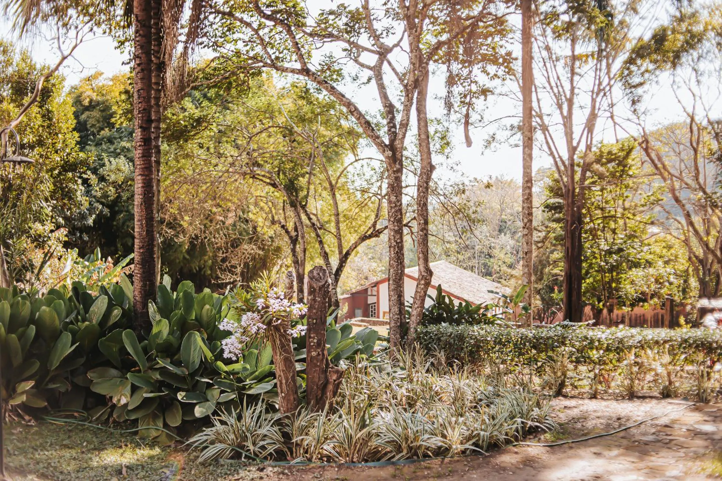 Property building in Pousada d'Oleo de Guignard