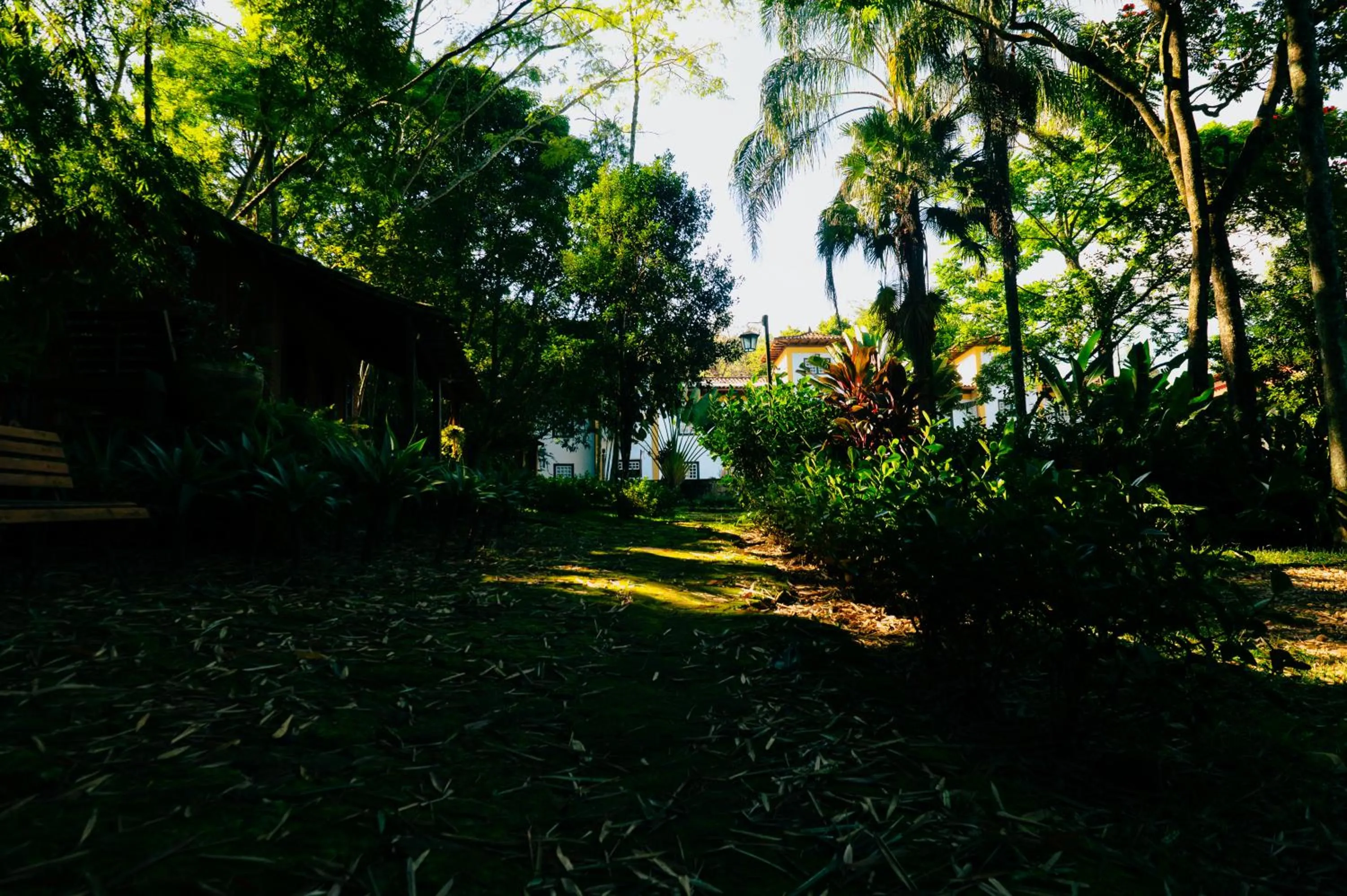 Garden in Pousada d'Oleo de Guignard