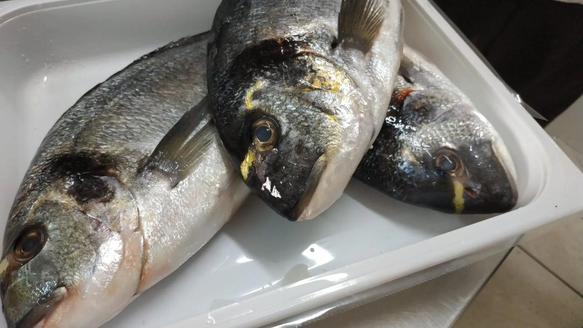 Hotel Profumo Di Mare