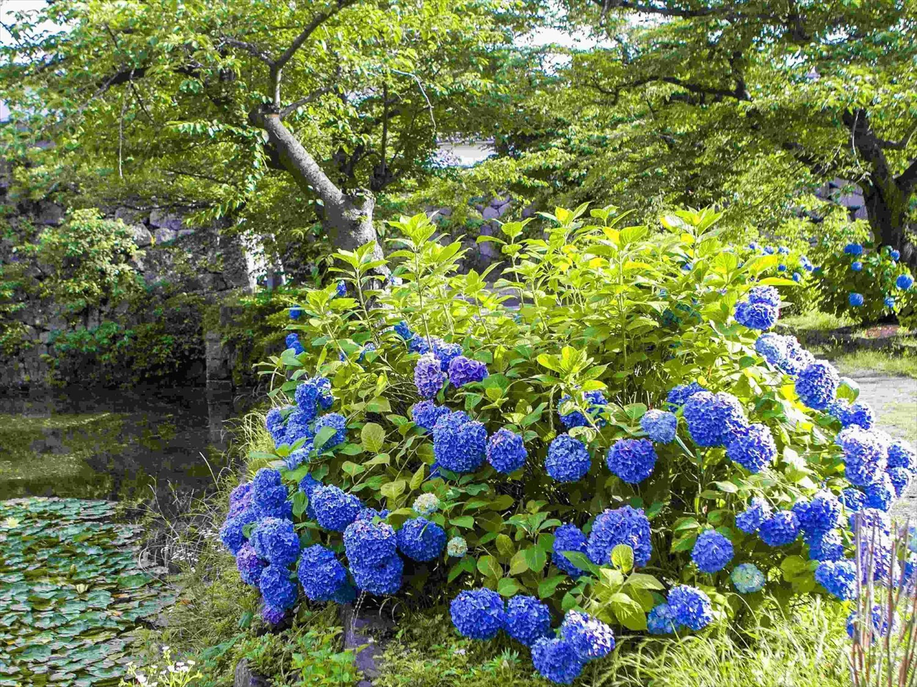 Nearby landmark in Tokyu Stay Hakata