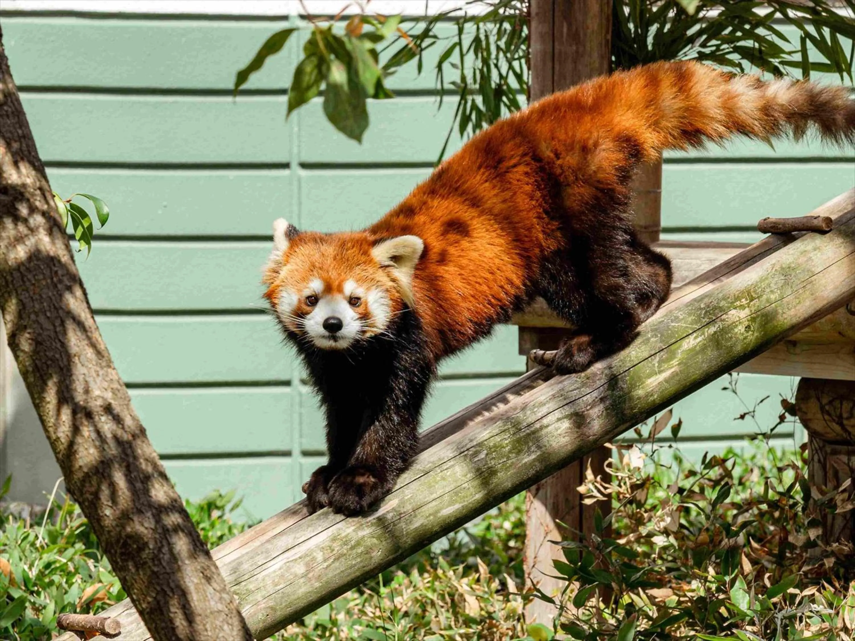 Nearby landmark in Tokyu Stay Hakata