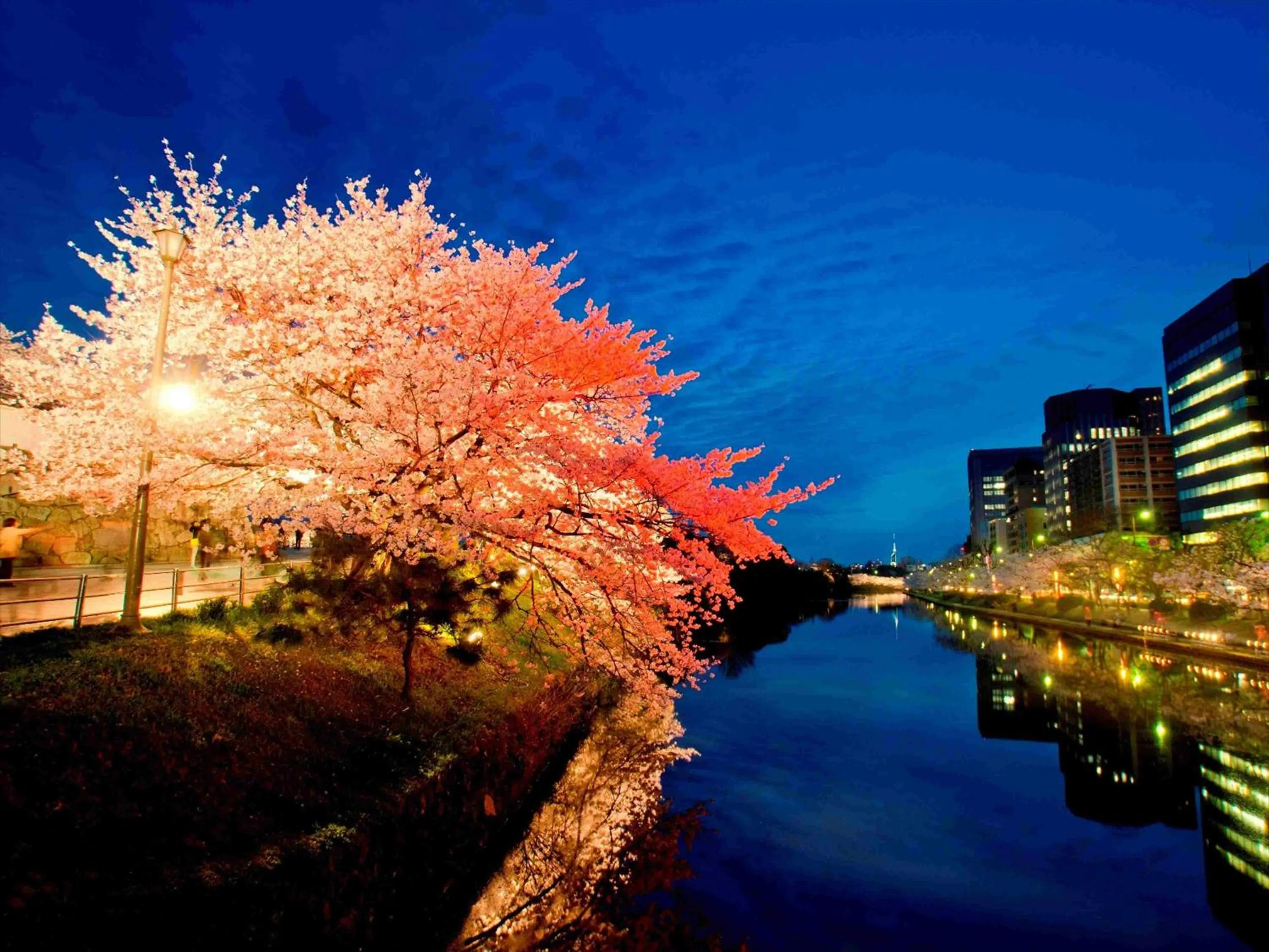 Nearby landmark in Tokyu Stay Hakata