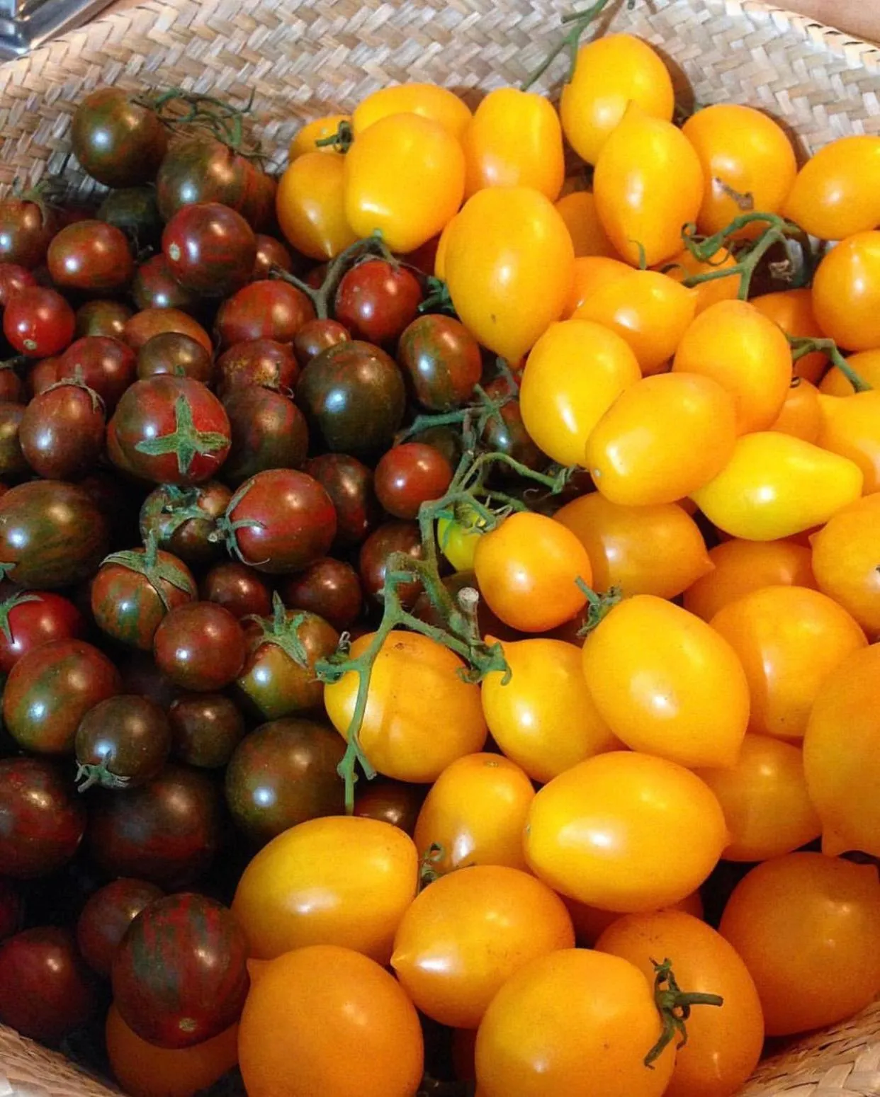 Staff in B&B La Casa Di Plinio